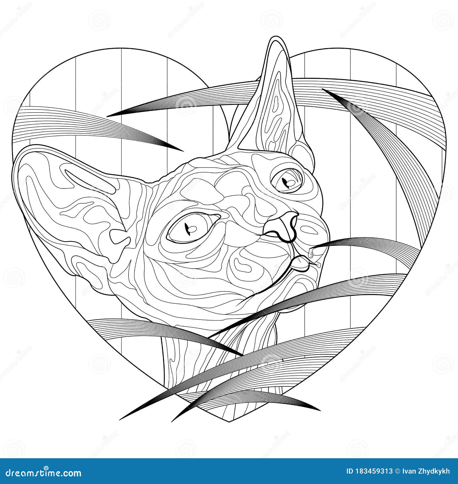 Cat Sphynx Coloring Pages for Adults Decorative Line Art Vector