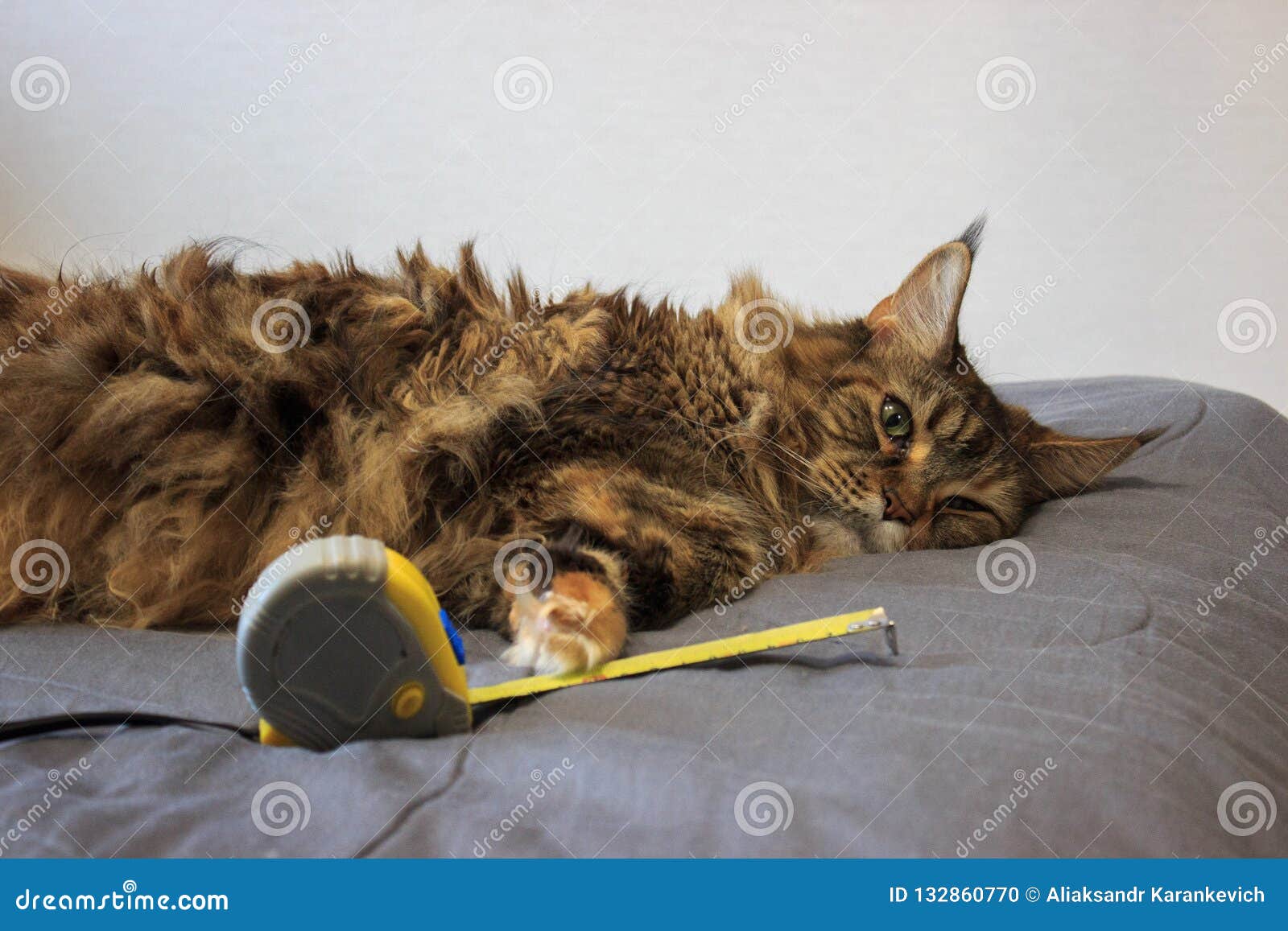 Cat online tape measure