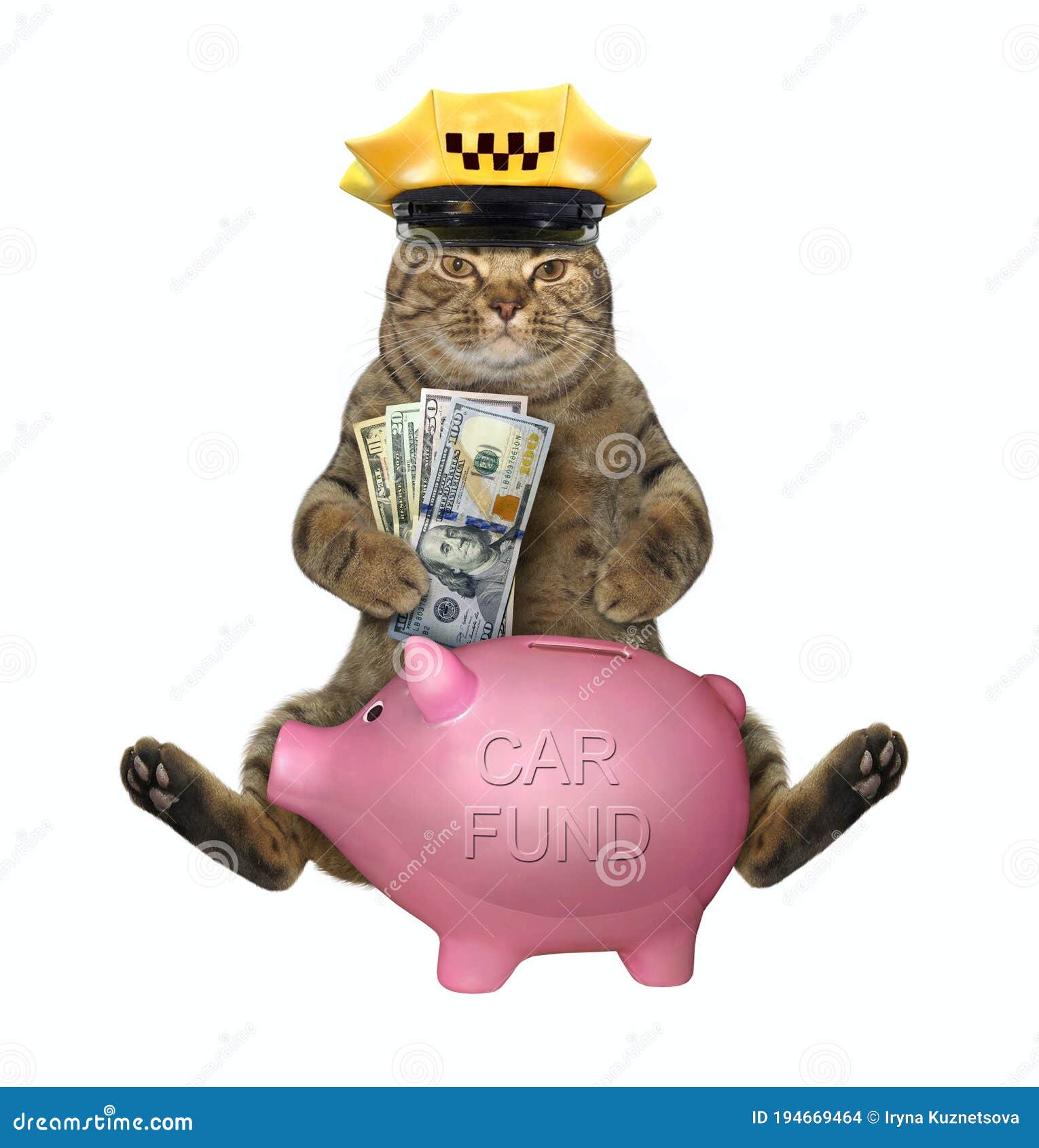 Cat Taxi Driver Saves Money for Car Stock Photo - Image of finance ...