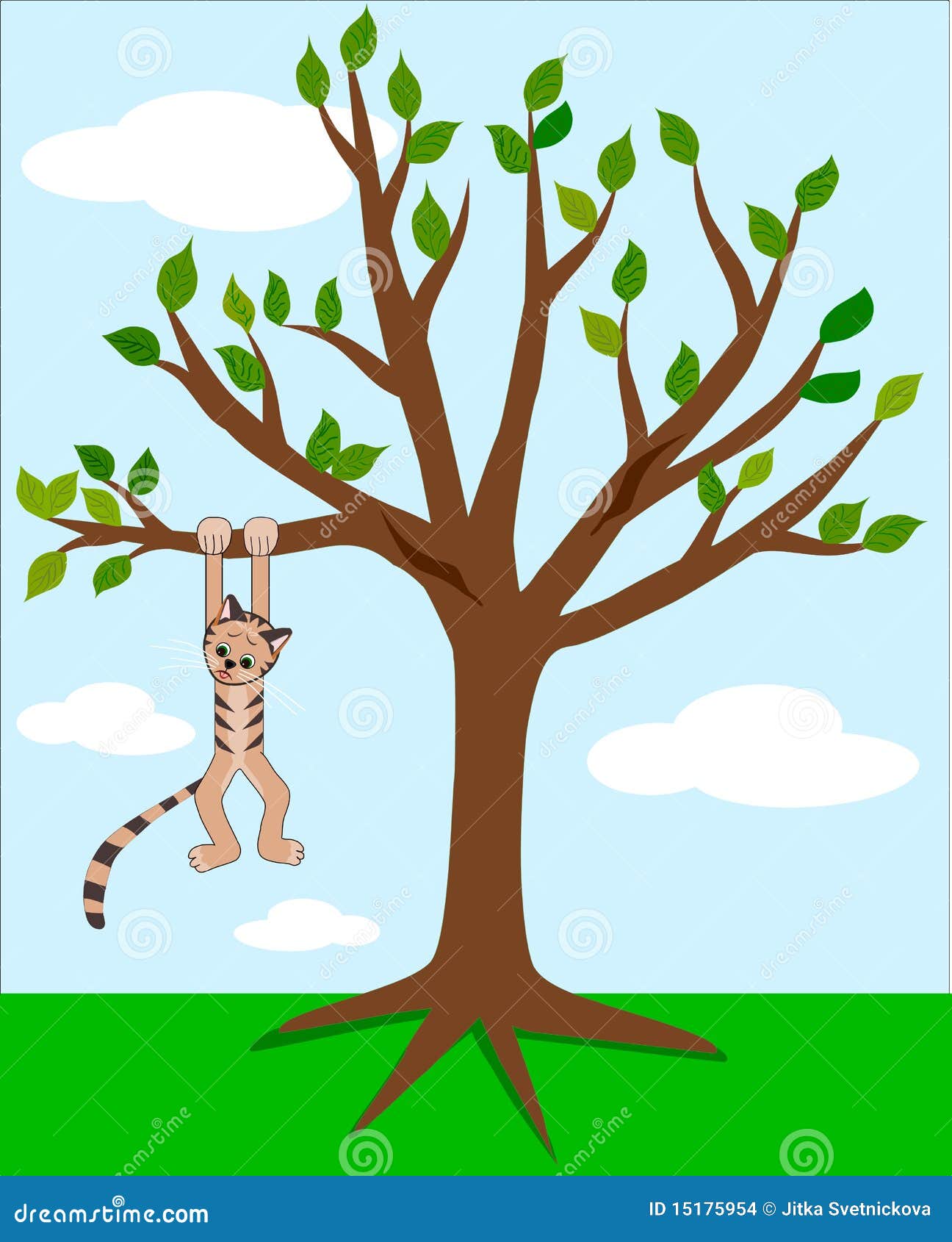 Cat up a tree 2025