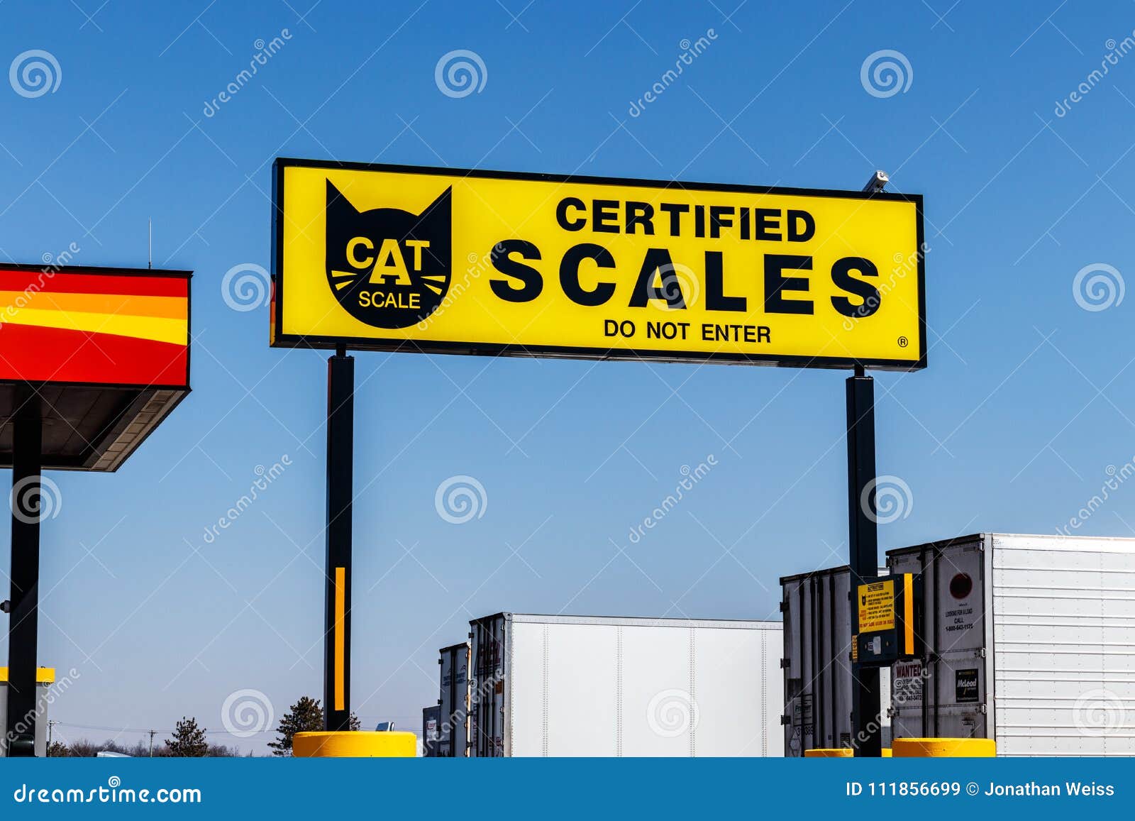 442 Cat Scales Stock Photos - Free & Royalty-Free Stock Photos from  Dreamstime