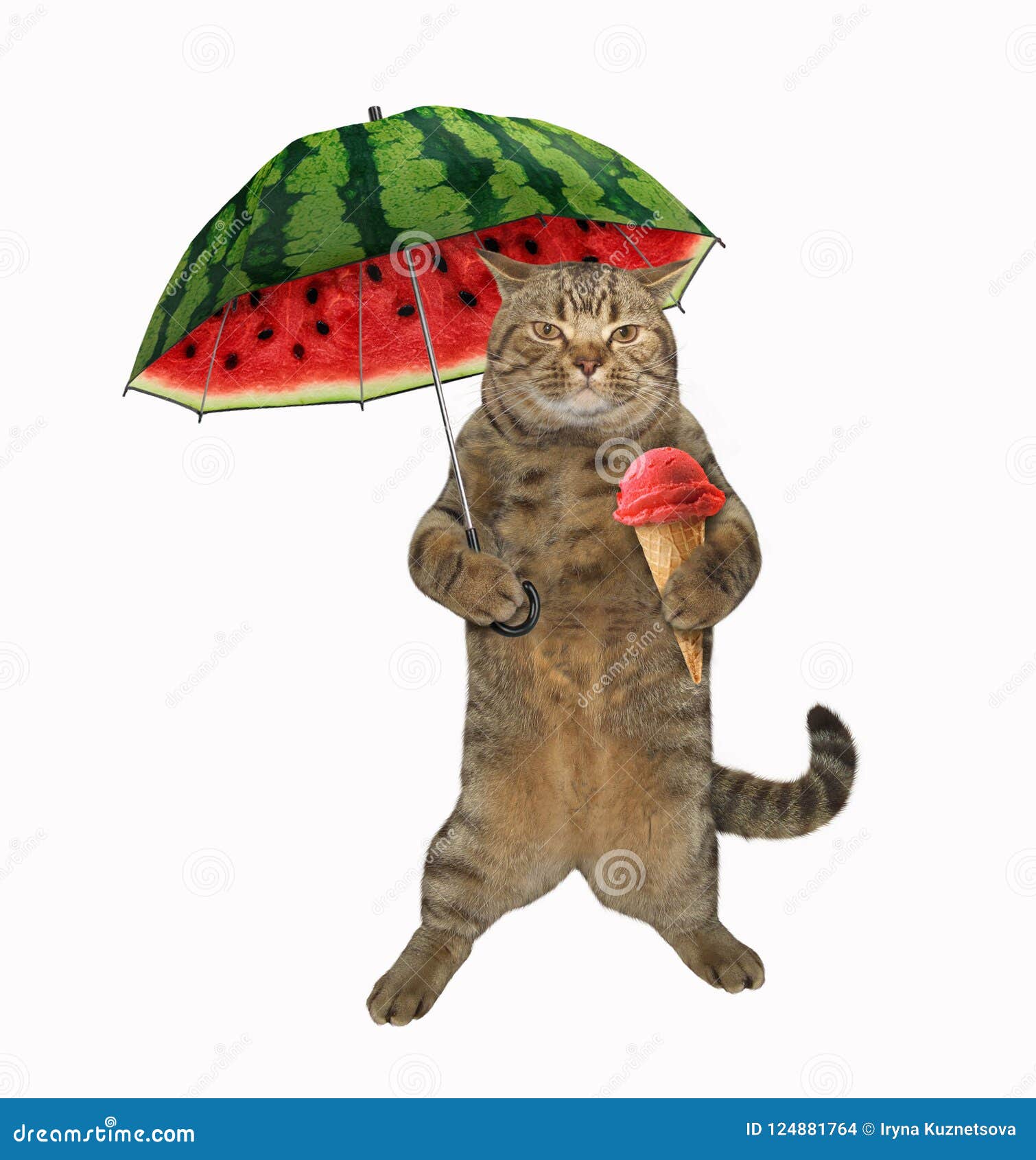 Naanle Cat Holding Watermelon Umbrella Ice Cream Auto Open Close Foldable Umbrella 