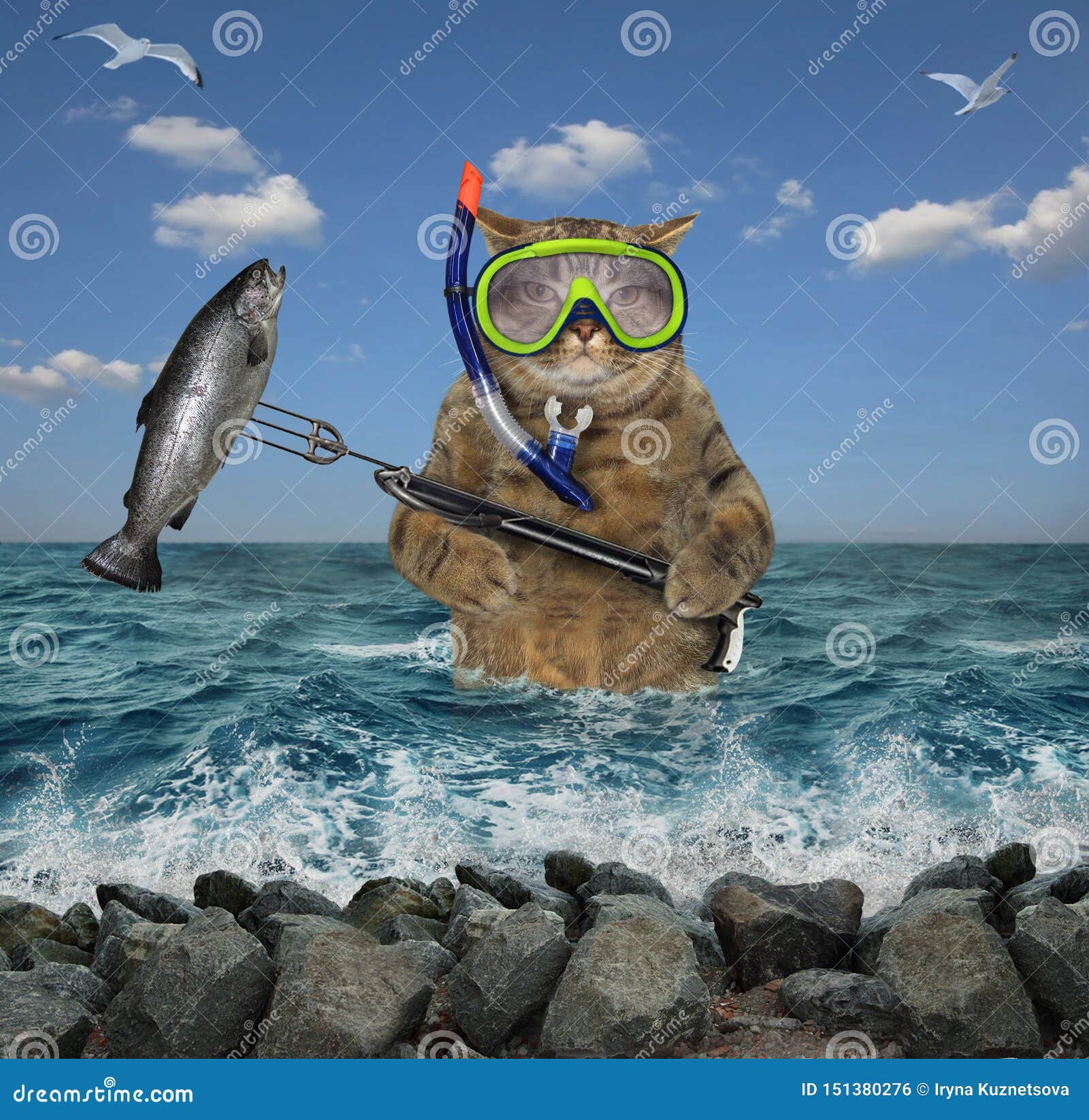 Cat Underwater Hunter with a Speargun Stock Photo - Image of fisher, mask:  151380276