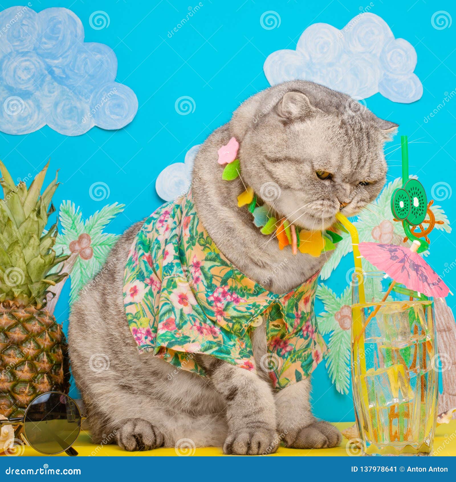 A Cat On Vacation In A Hawaiian Shirt With Pineapples And ...