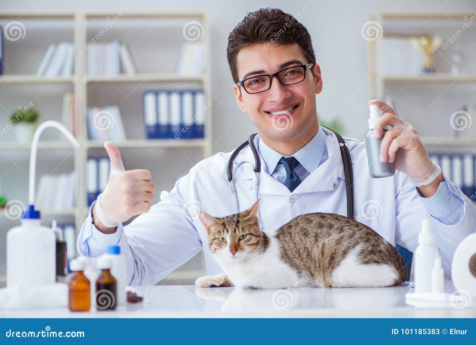 Cat Visiting Vet for Regular Checkup Stock Image Image of flea, health 101185383