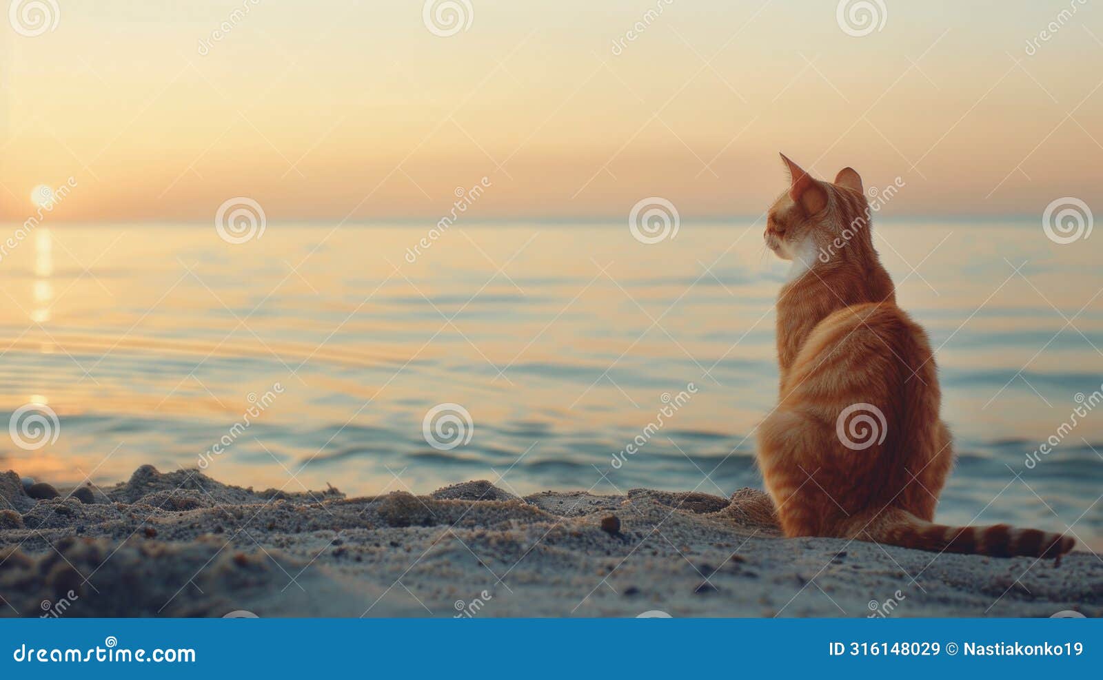 A Day at the Beach | Story.com, image size:1600x987