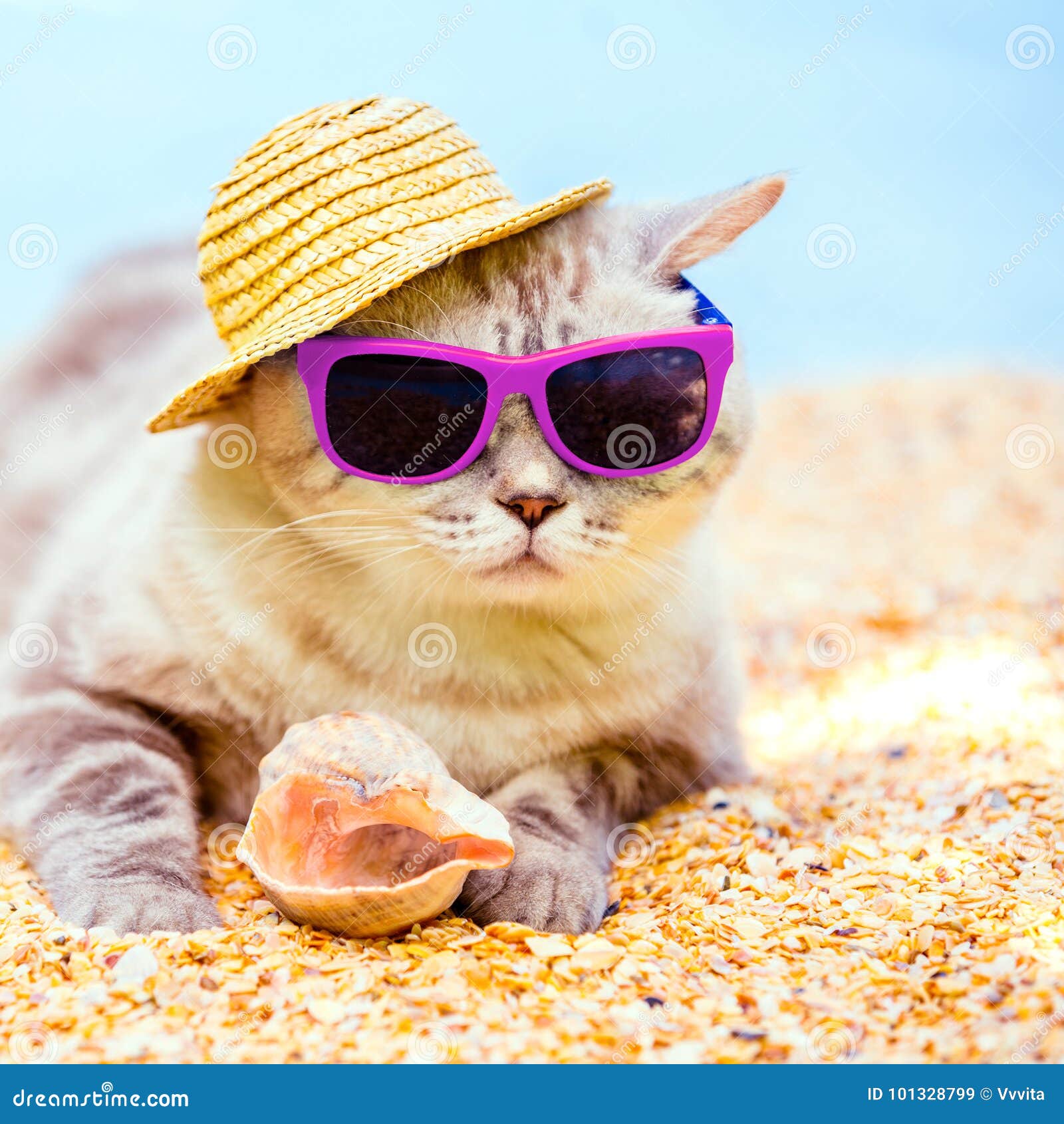 Funny cat in sunglasses. Cat with glasses on a light sunny background.  Relax, rest, vacation concept. Generative Ai image illustration Stock  Illustration | Adobe Stock