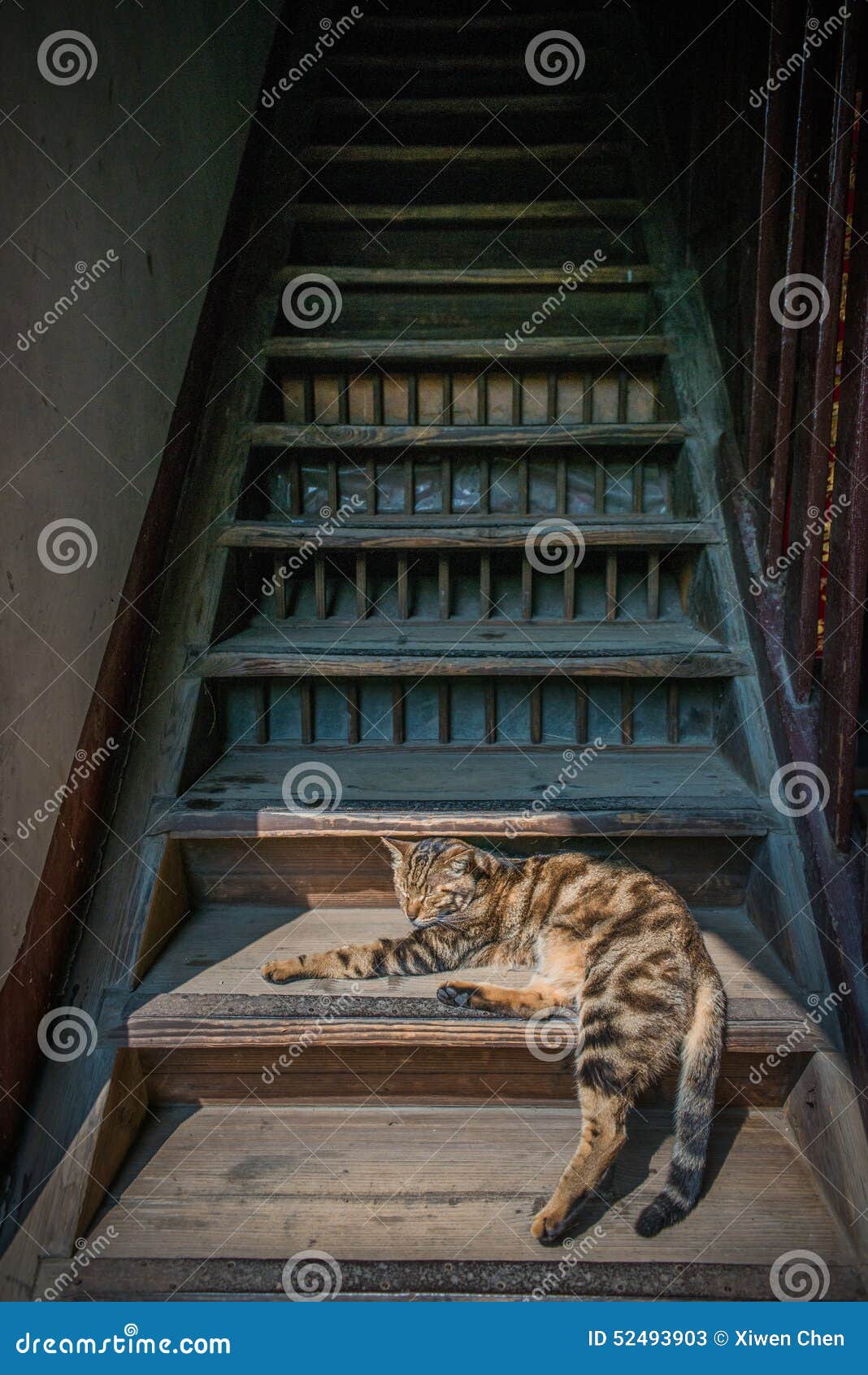 Cat on Wood stairs stock image. Image of brown, worn 52493903