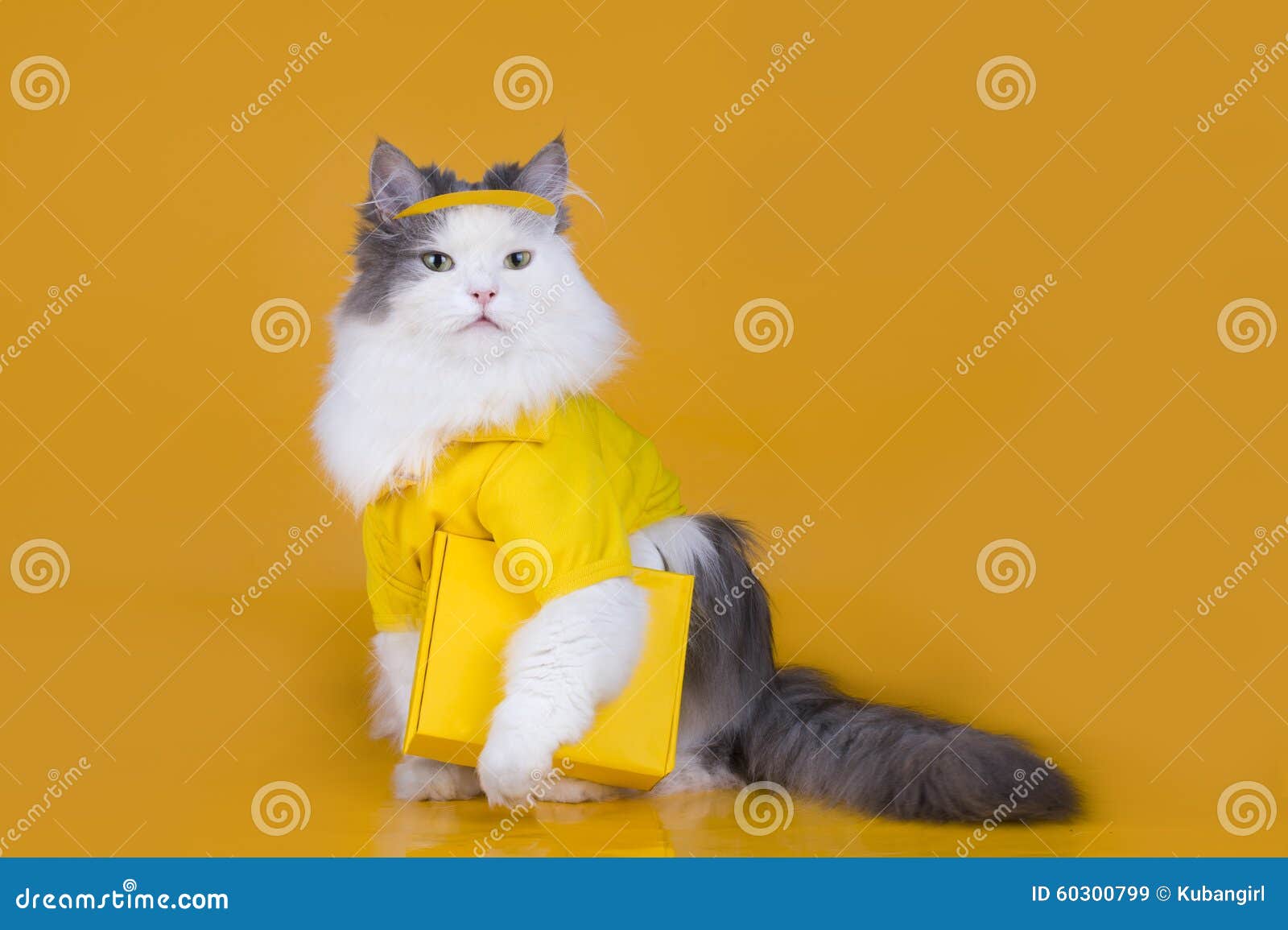 Cat Works As A Courier On A Yellow Background Stock Image Image of
