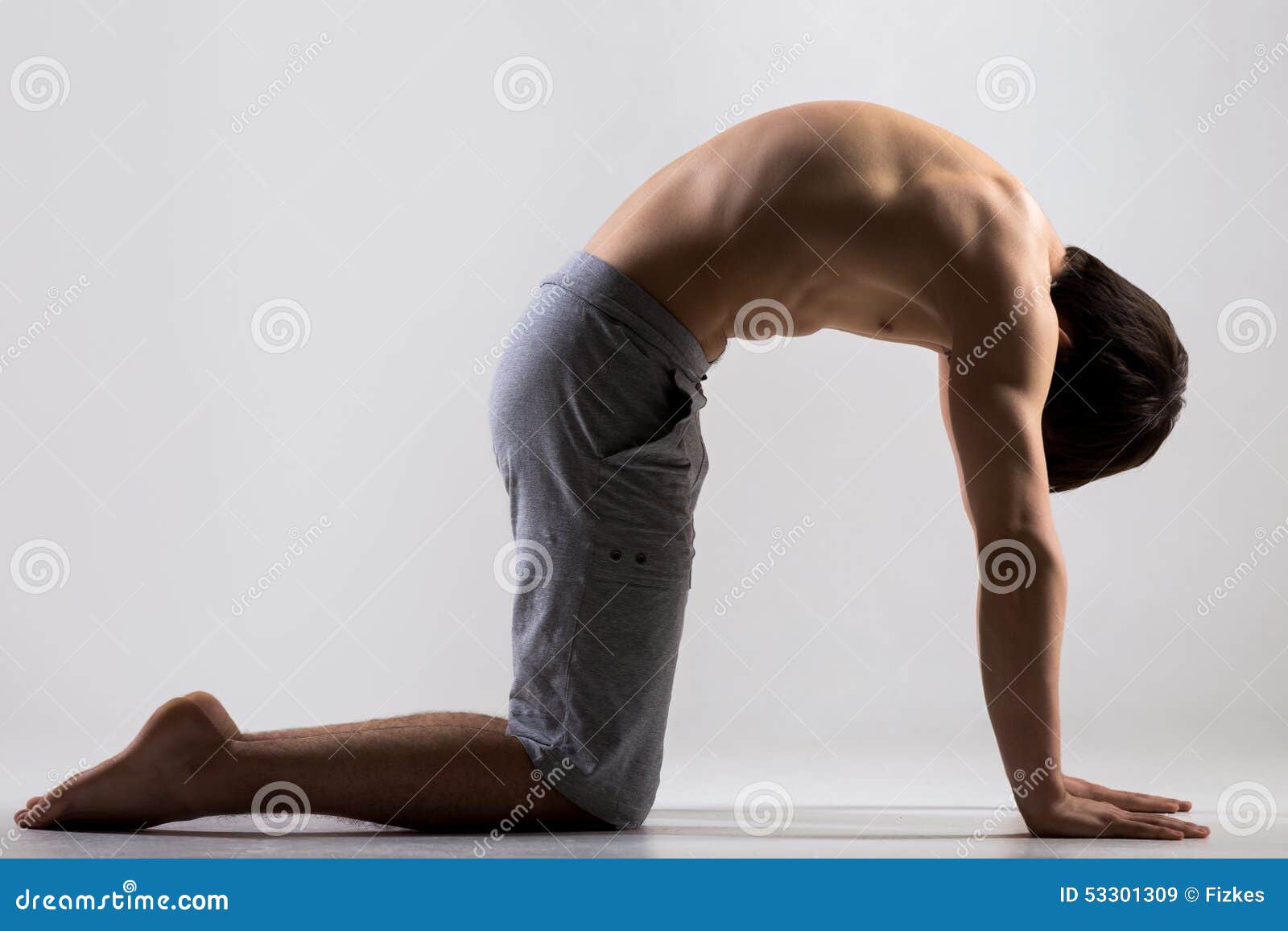 cat yoga pose