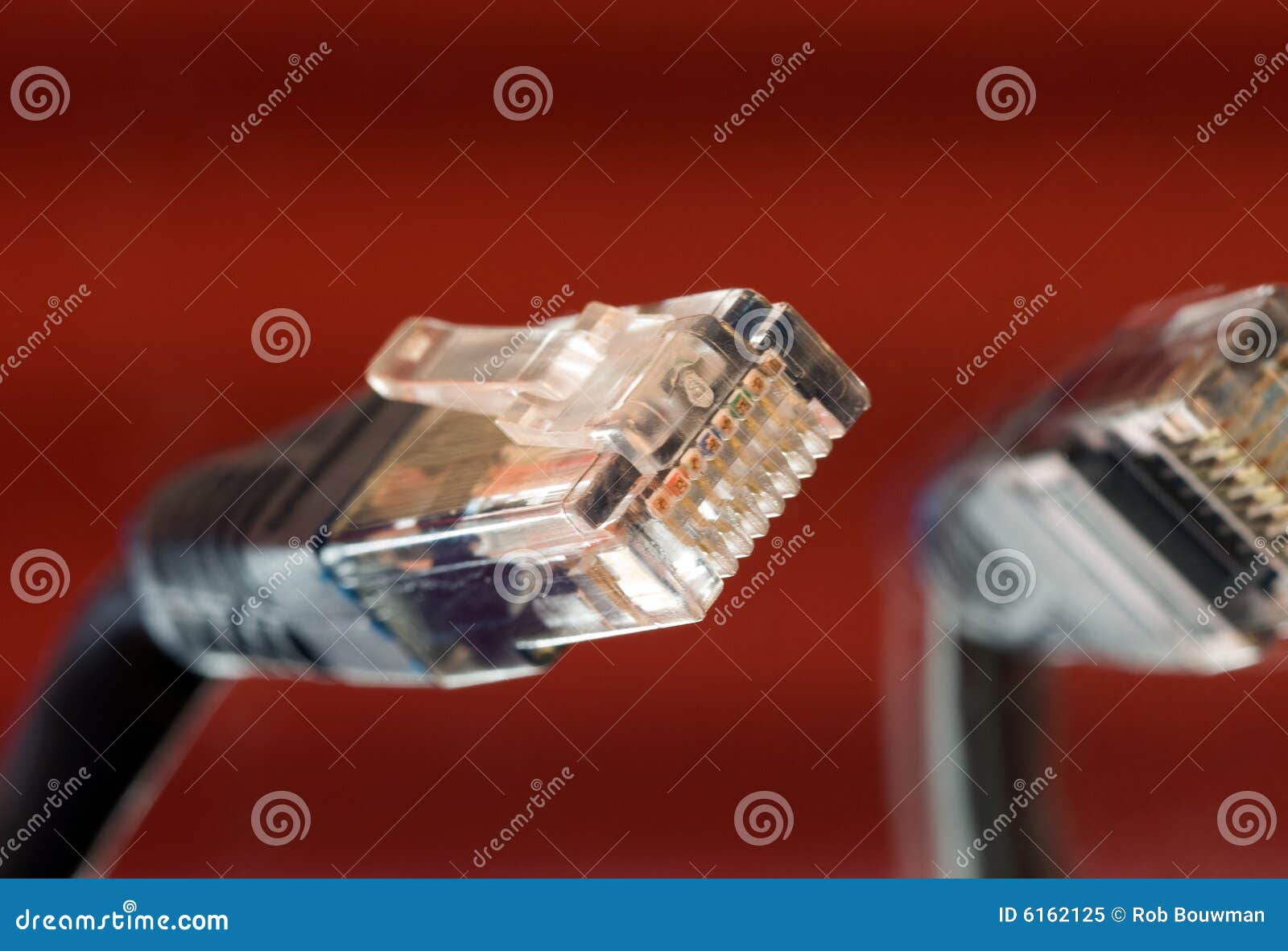 Cat5 stock image. Image of connect, network, cable, fiber 6162125
