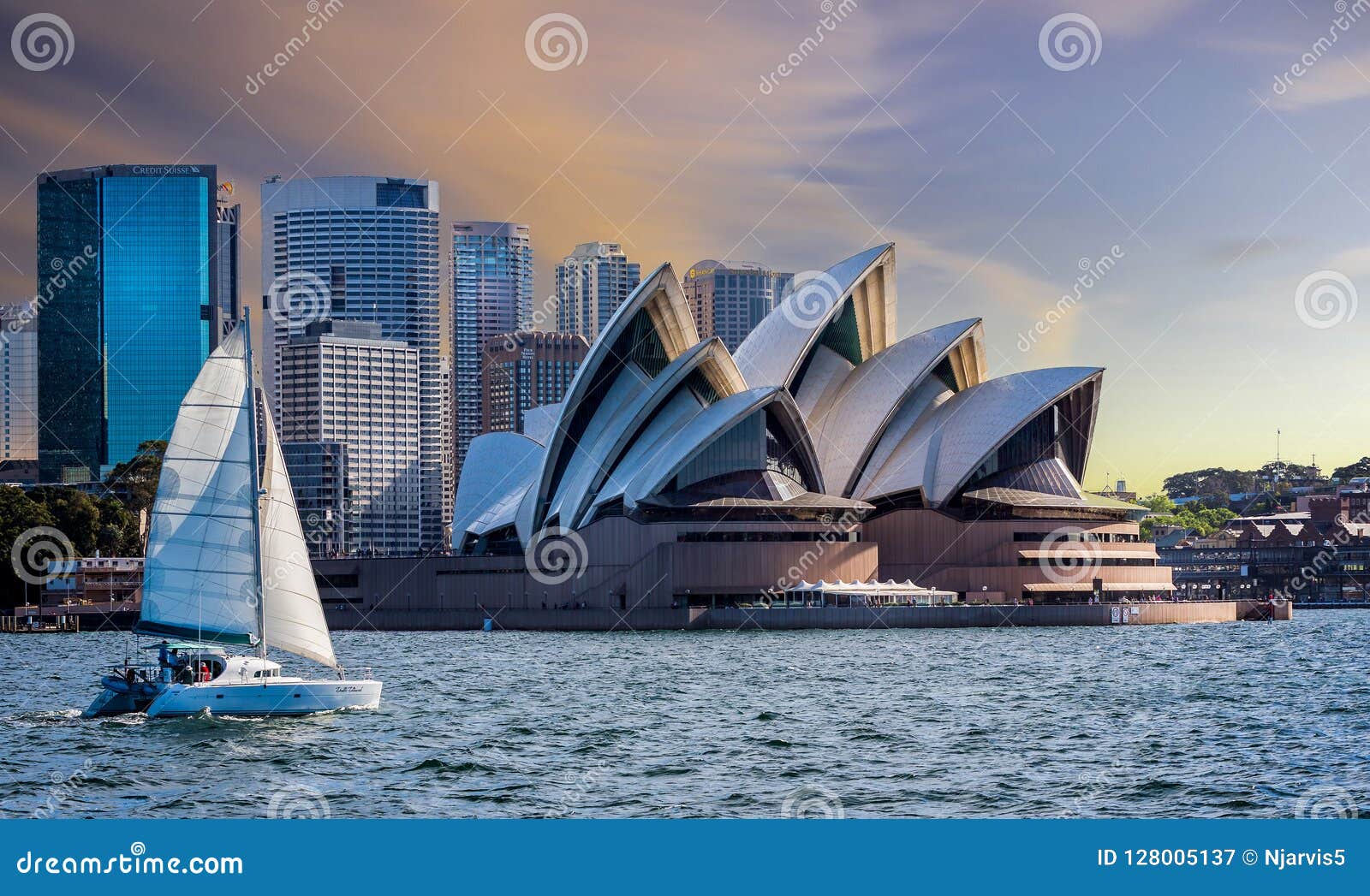 catamaran sailing course sydney