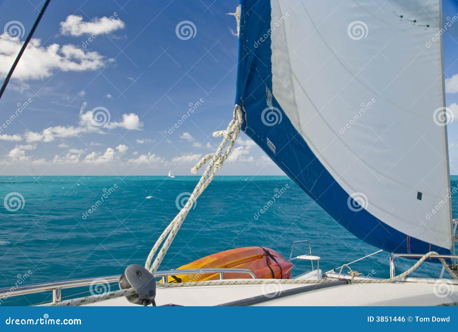 catamaran under sail