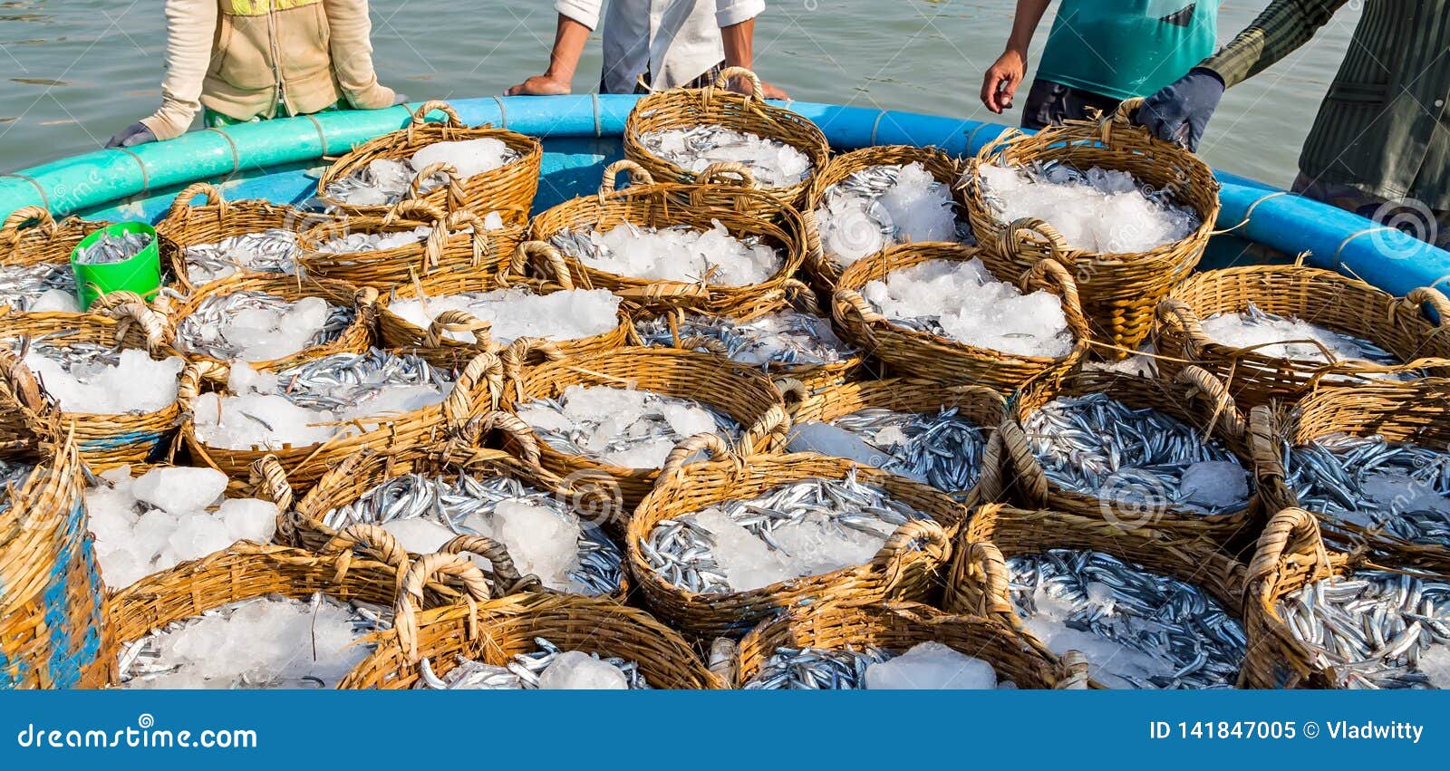 Catch of Fish Ice in Basket Vietnamese Fishing Village Vietnam Stock Image  - Image of gourmet, cuisine: 141847005