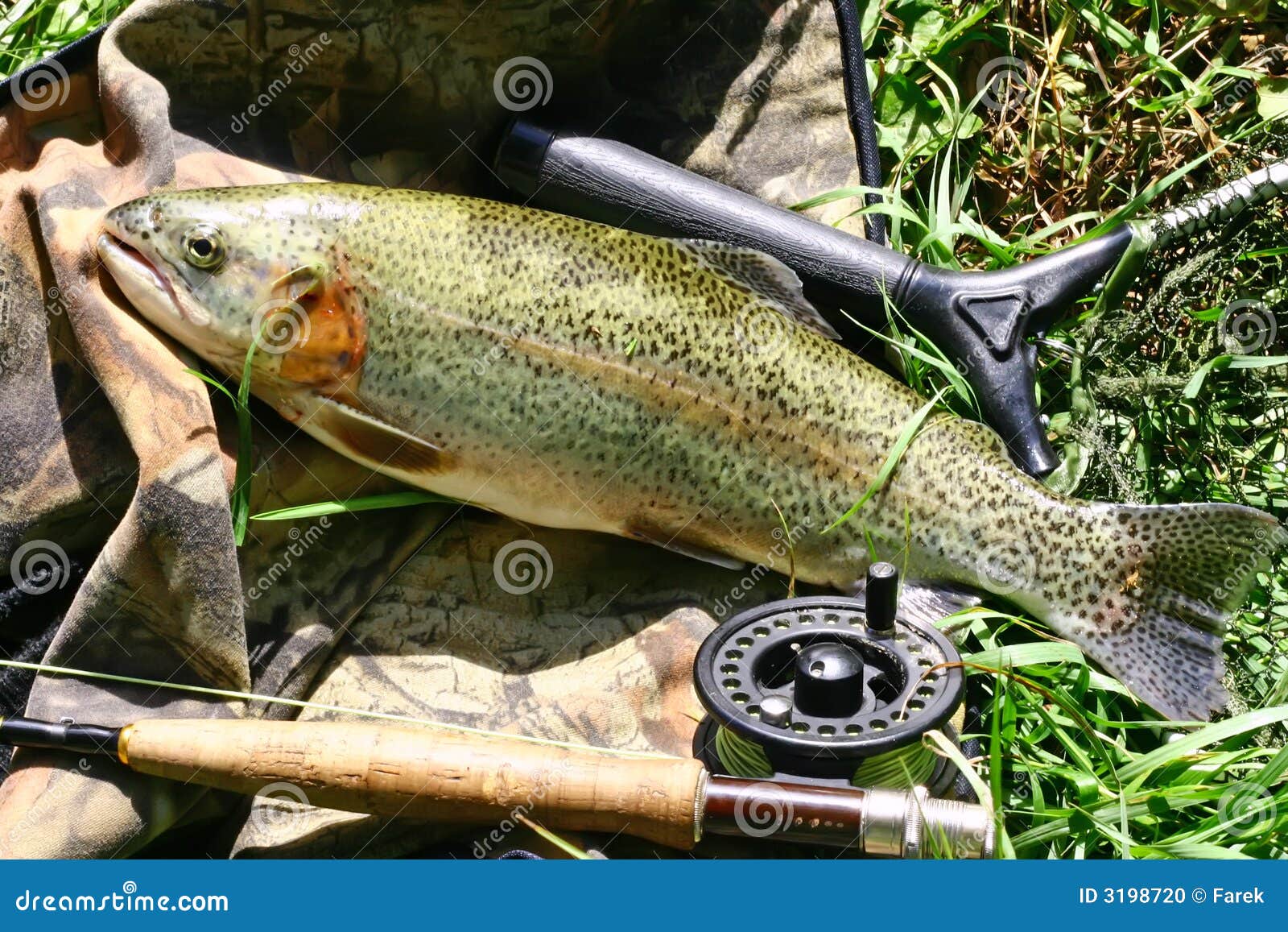 how to catch a unique rainbow trout at falcon lake in fishing planet how to catch a unique rainbow trout at falcon lake in fishing planet