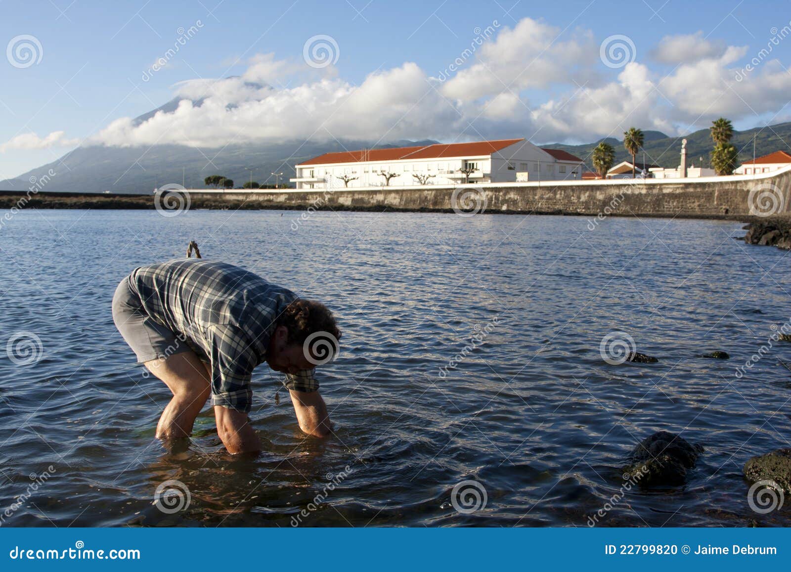 Catching fish bait editorial image. Image of lake, fishing 22799820