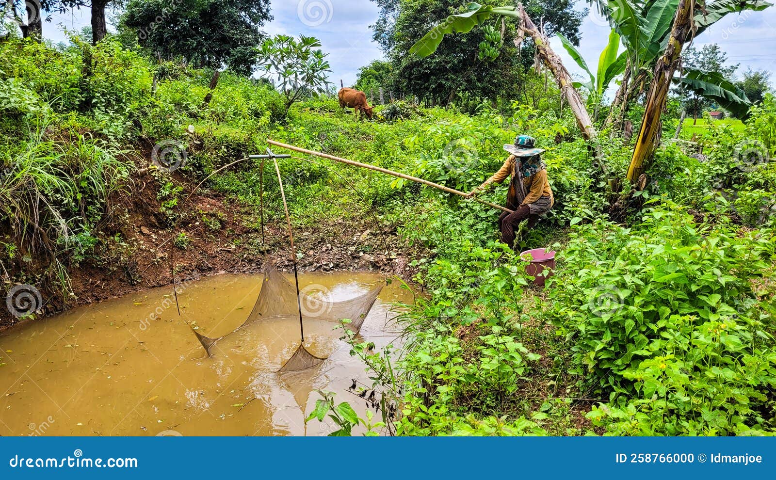 Catching fish stock photo. Image of fish, forest, catch 258766000