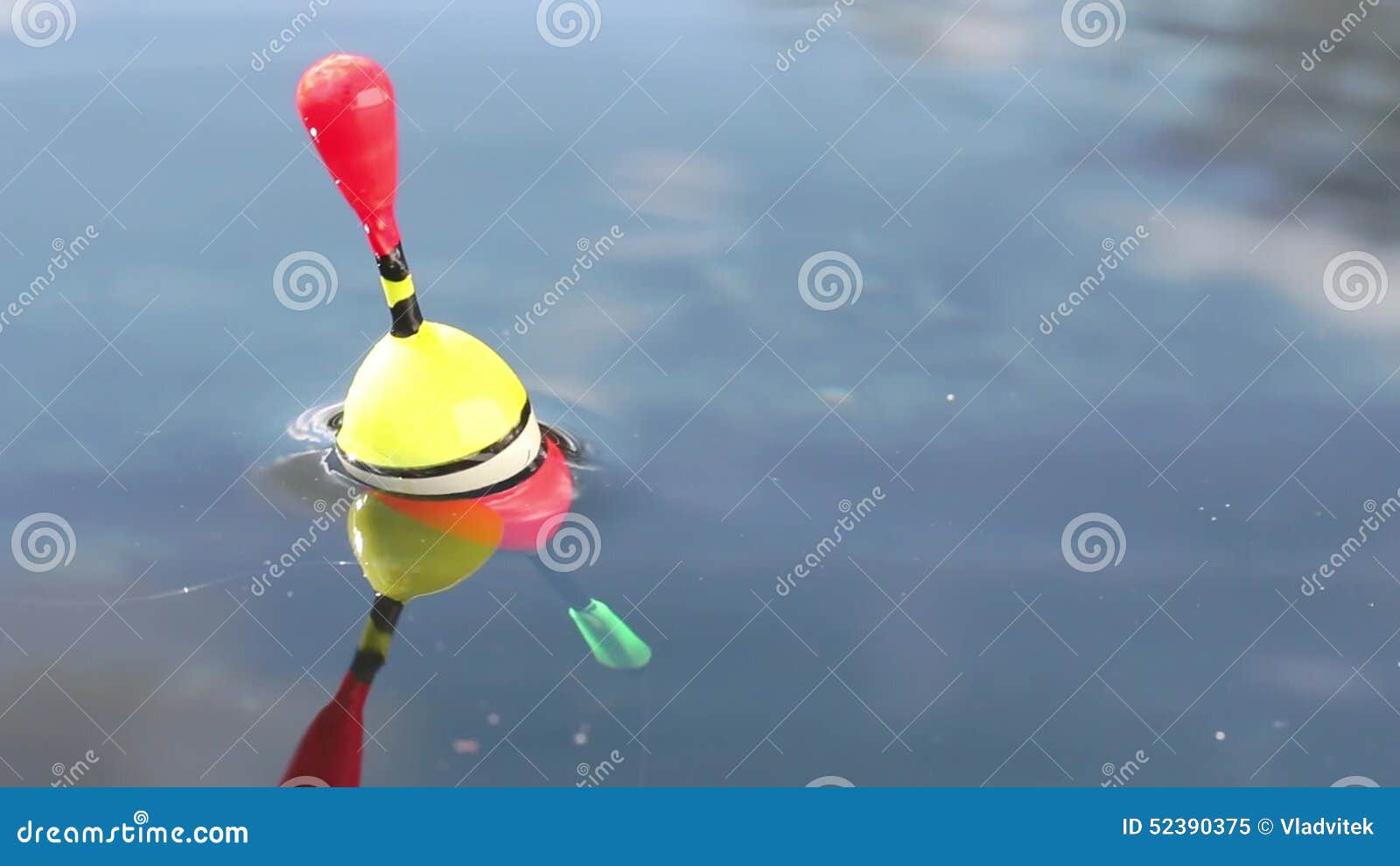 Catching of fish. stock video. Video of angling, background 52390375