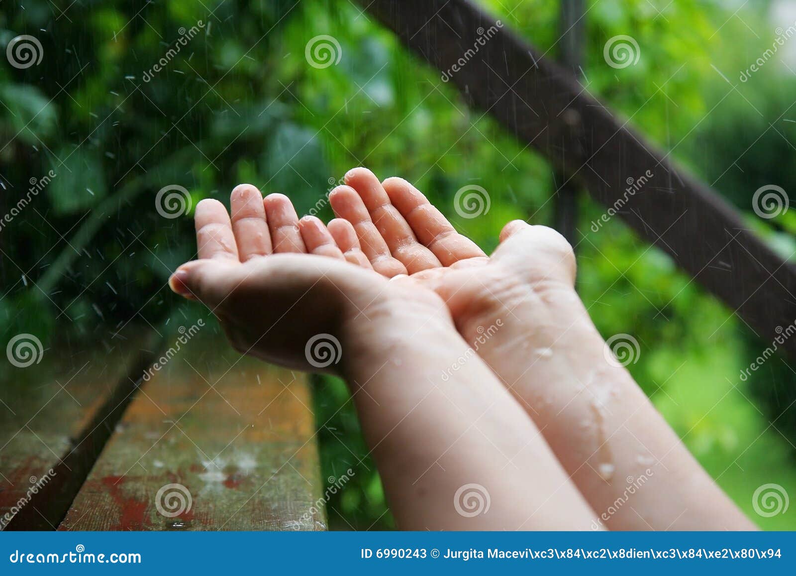 Catching the rain stock image. Image of catch, hands, hold 6990243