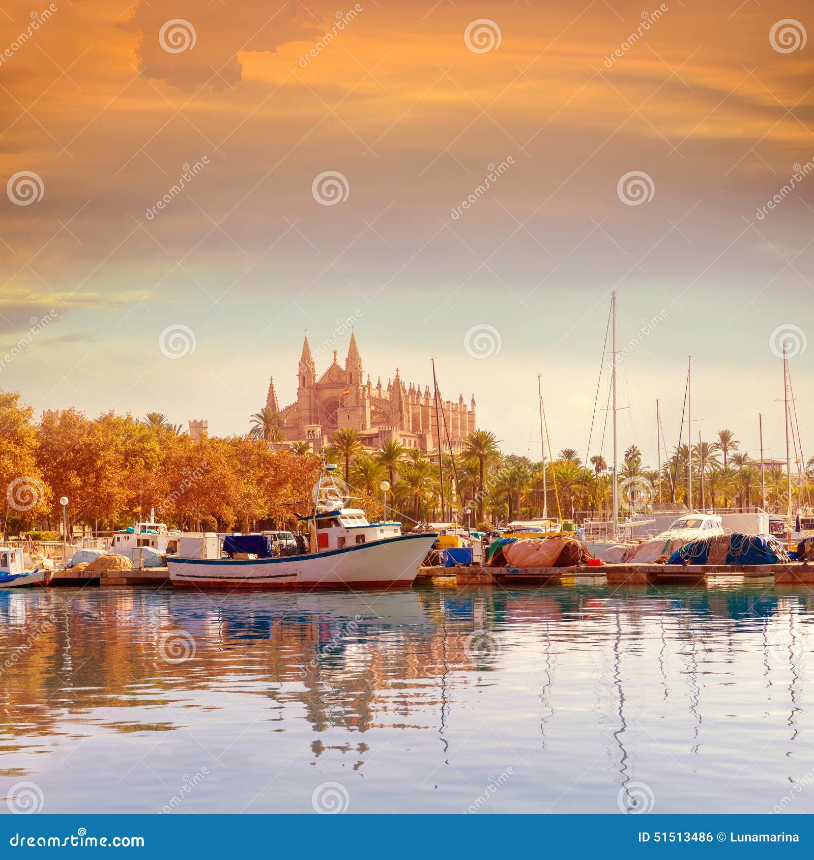Lista 31+ Imagen en que estado esta puerto palma El último Lista 31+ Imagen en que estado esta puerto palma El último