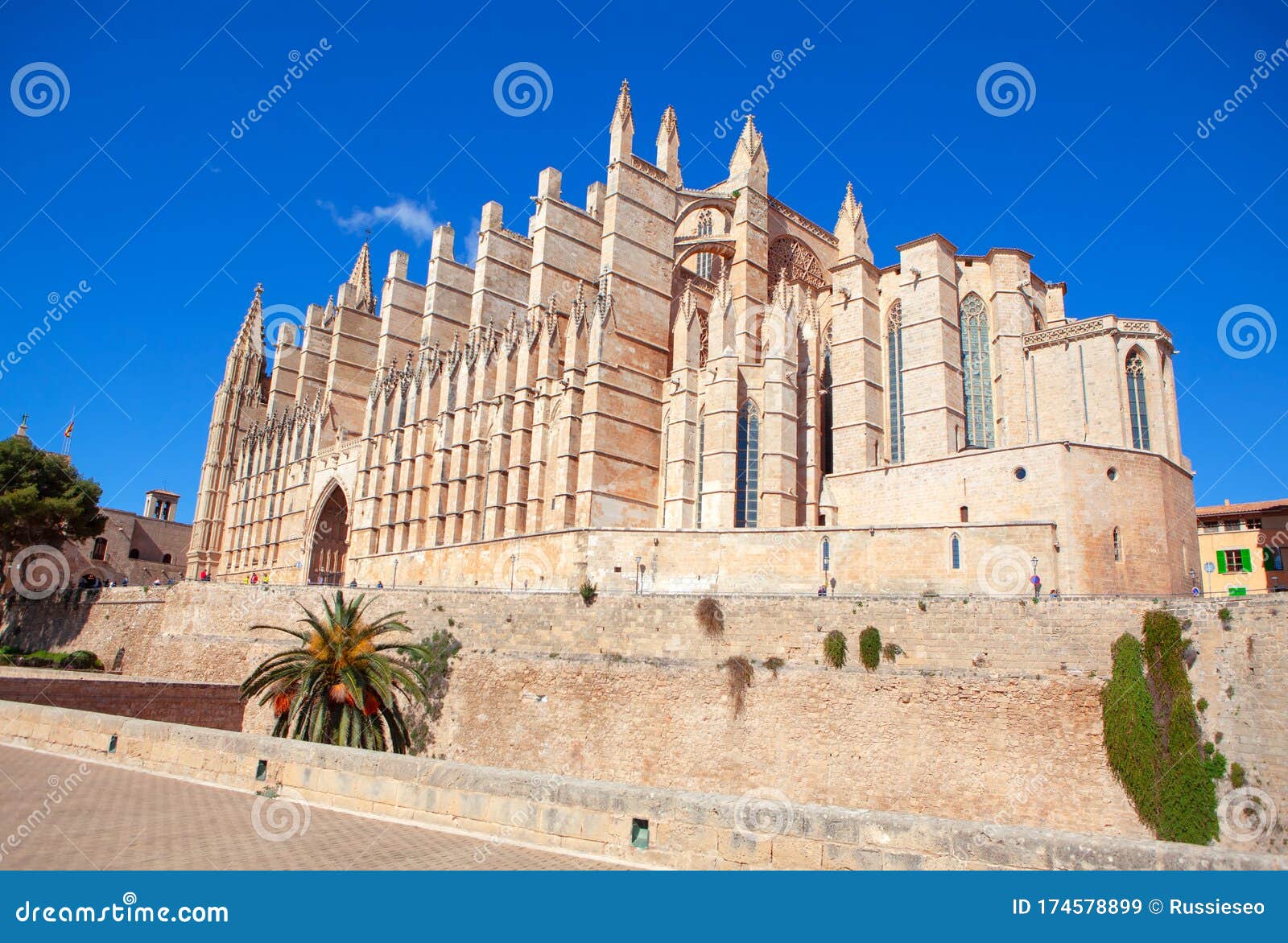 catedral de mallorca in daytime