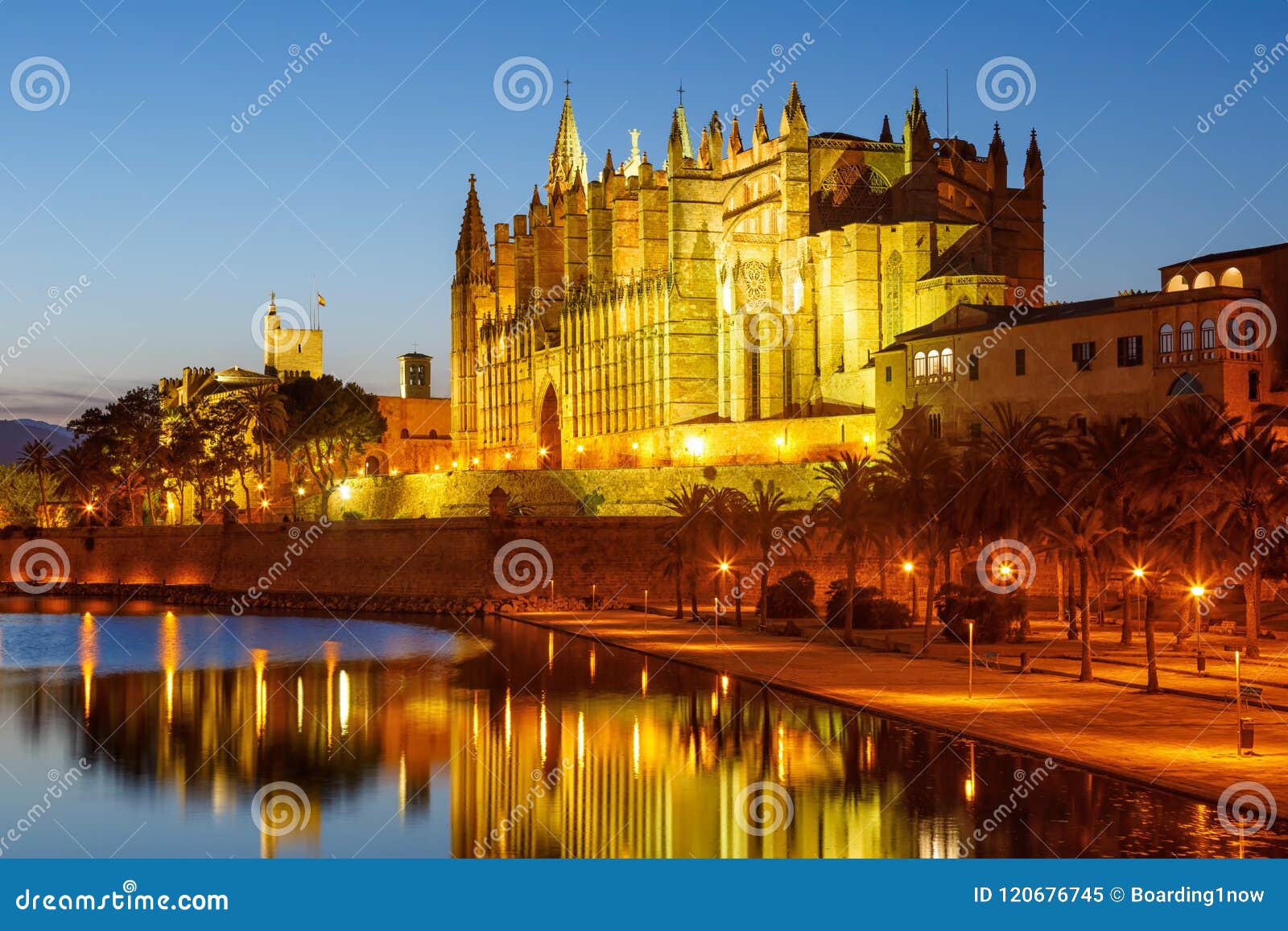 catedral de palma de mallorca majorca church cathedral copyspace night spain