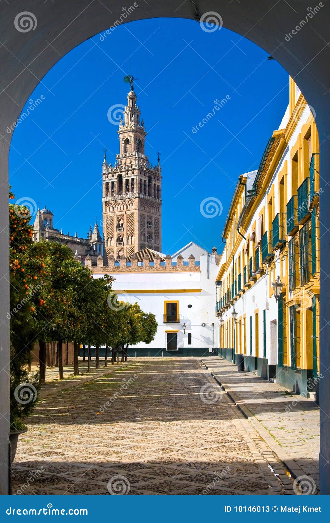 catedral de santa marÃÂ­a de la sede in seville