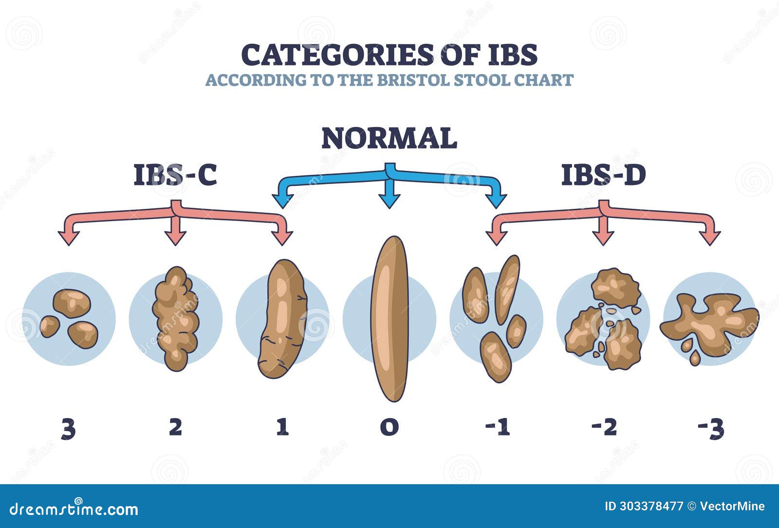 categories of ibs stages according to bristol stool chart outline diagram