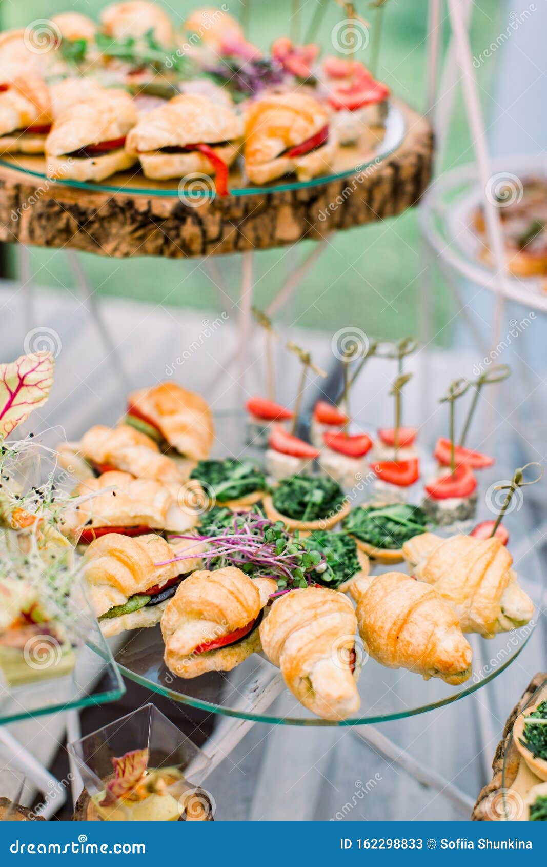 Catering Buffet and Rustic Decor, Outdoor Wedding Party with Healthy Food  Snacks Stock Image - Image of canape, catering: 162298833