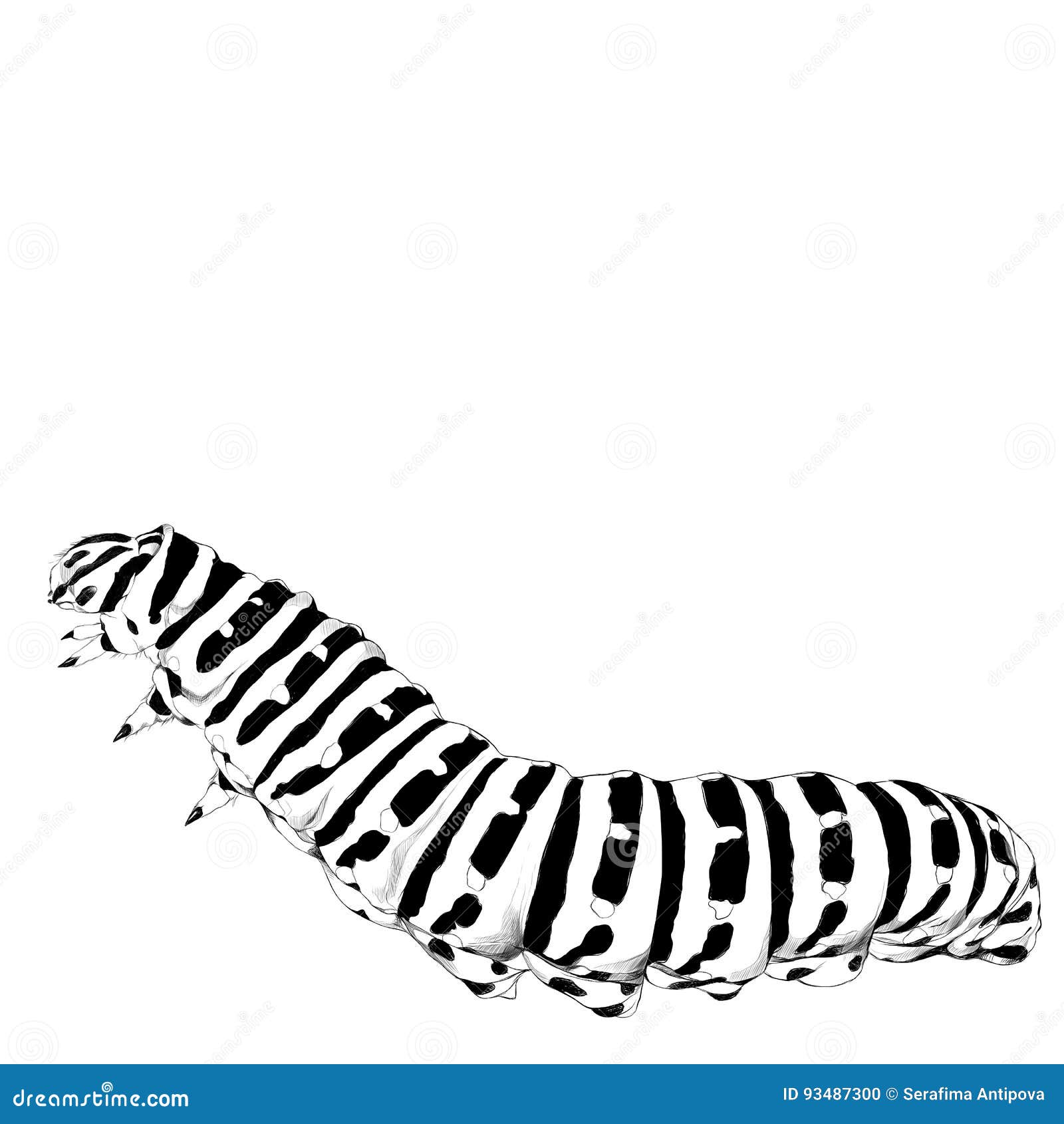 Cute Cartoon Caterpillar Coloring Picture Outline Sketch Drawing Vector  Colorful Caterpillar Drawing Colorful Caterpillar Outline Colorful Caterpillar  Sketch PNG and Vector with Transparent Background for Free Download