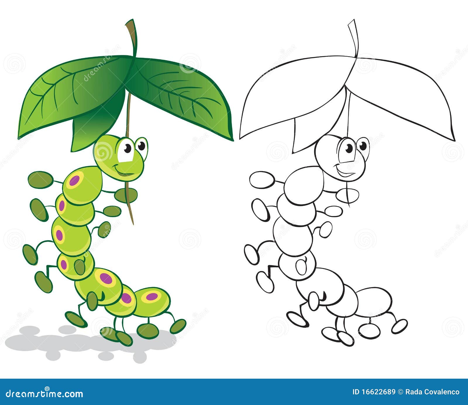 Green caterpillar cartoon Vector by Tatyana Seleznyova on Dribbble