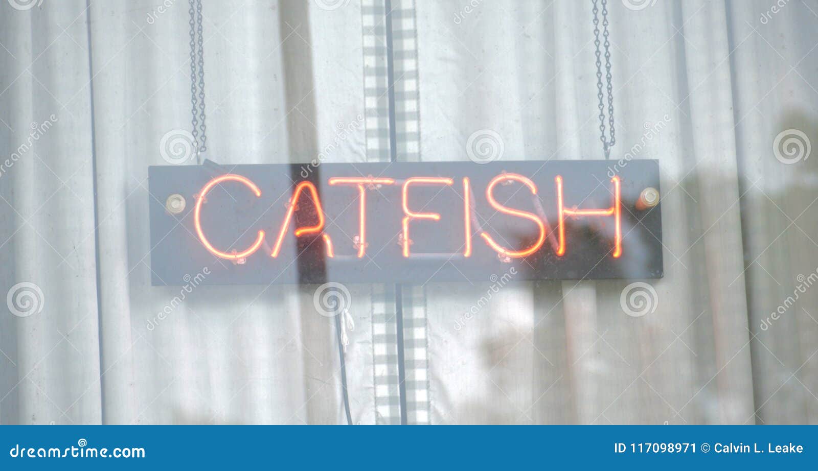 Catfish Dinner Restaurant editorial photo. Image of ripple 117098971