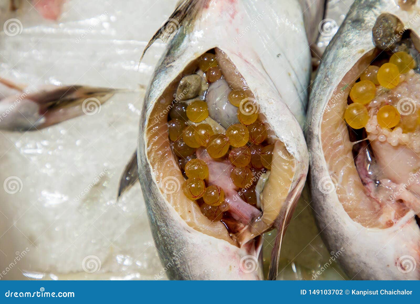 Catfish Eggs Clear Catfish Eggs. Orange Curry Fish Eggs and the People Thai  Say ` Ryukyus Fish ` Fresh Seafood from Live Market . Stock Photo - Image  of giant, marine: 149103702