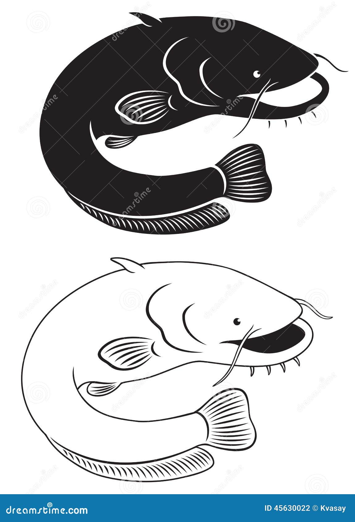 Catfish, Silurus Glanis, Bottom Fish Continuous Line Drawing. One Line