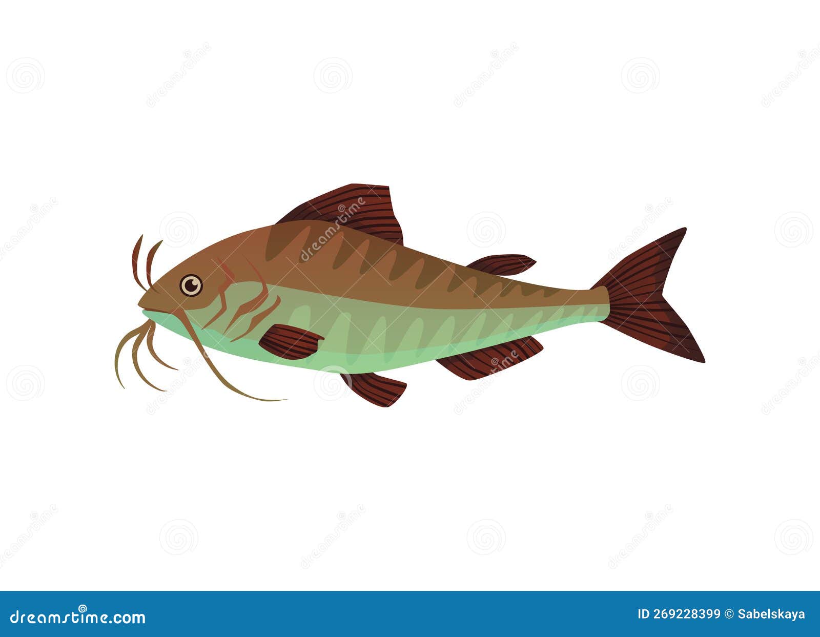 Bullhead Fish Stock Illustrations – 44 Bullhead Fish Stock