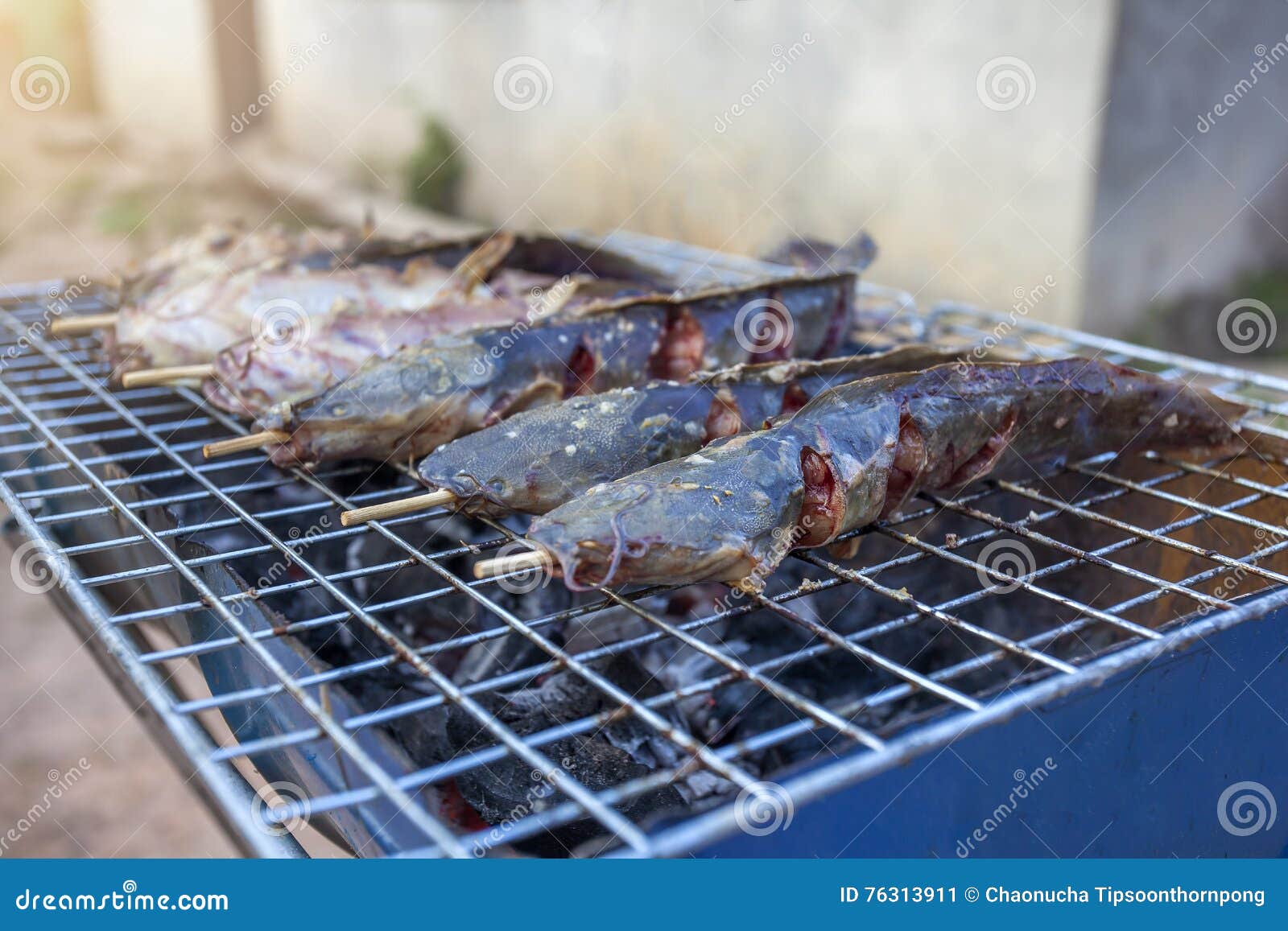 Catfish Grill on Charcoal Grill. Stock Image Image of grilled, nature