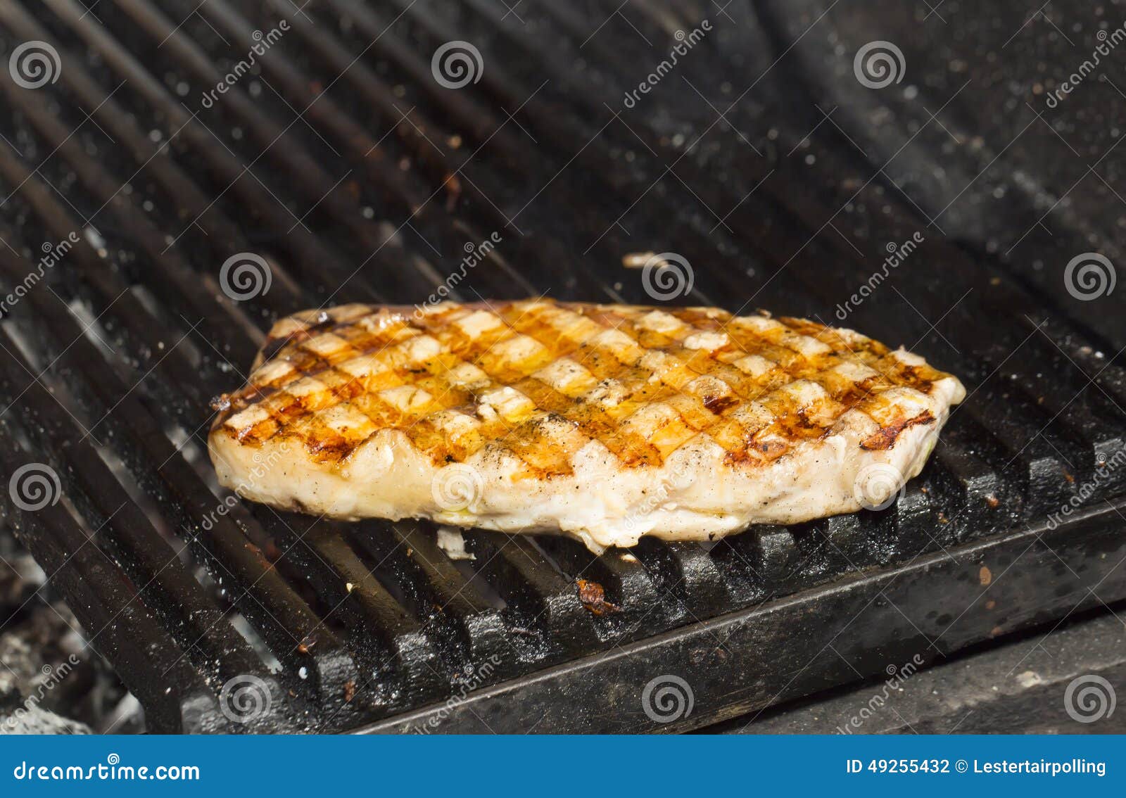 Catfish meat on the grill stock photo. Image of dinner 49255432