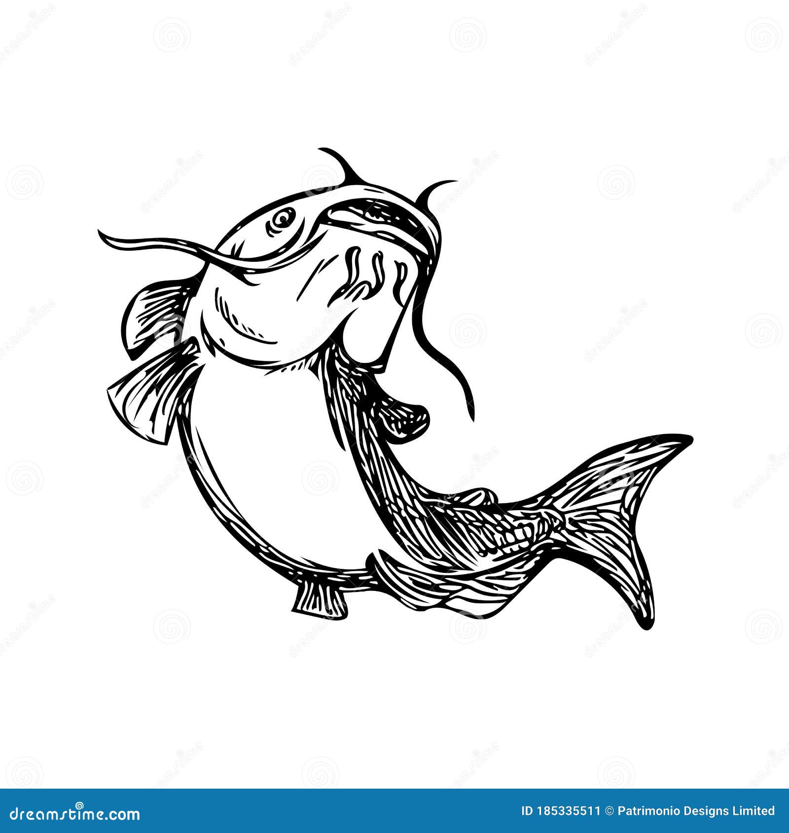 Catfish Stock Illustrations – 4,737 Catfish Stock Illustrations, Vectors &  Clipart - Dreamstime