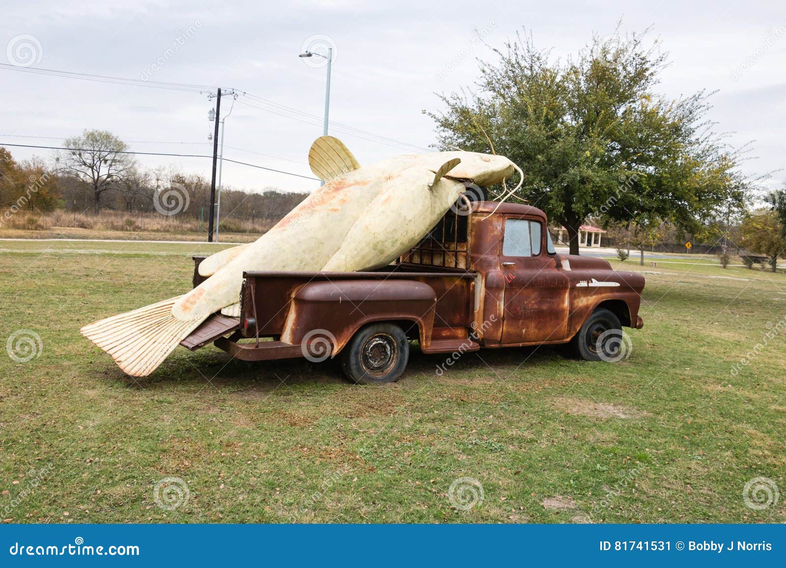 Catfish in a Pickup Truck stock image. Image of catfish 81741531