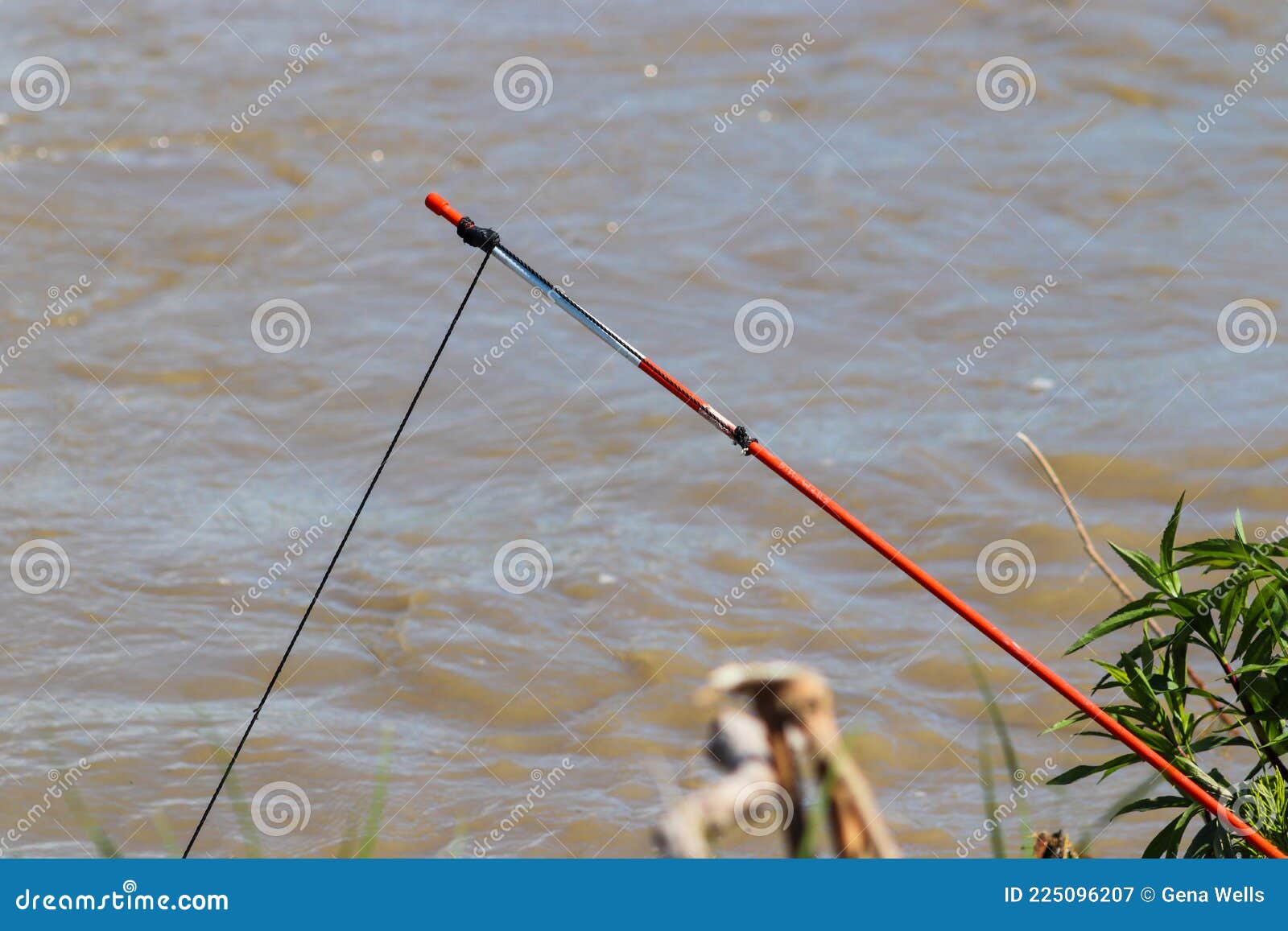 Catfish with Set Line Fishing Alone the Niobrara River in Nebraska