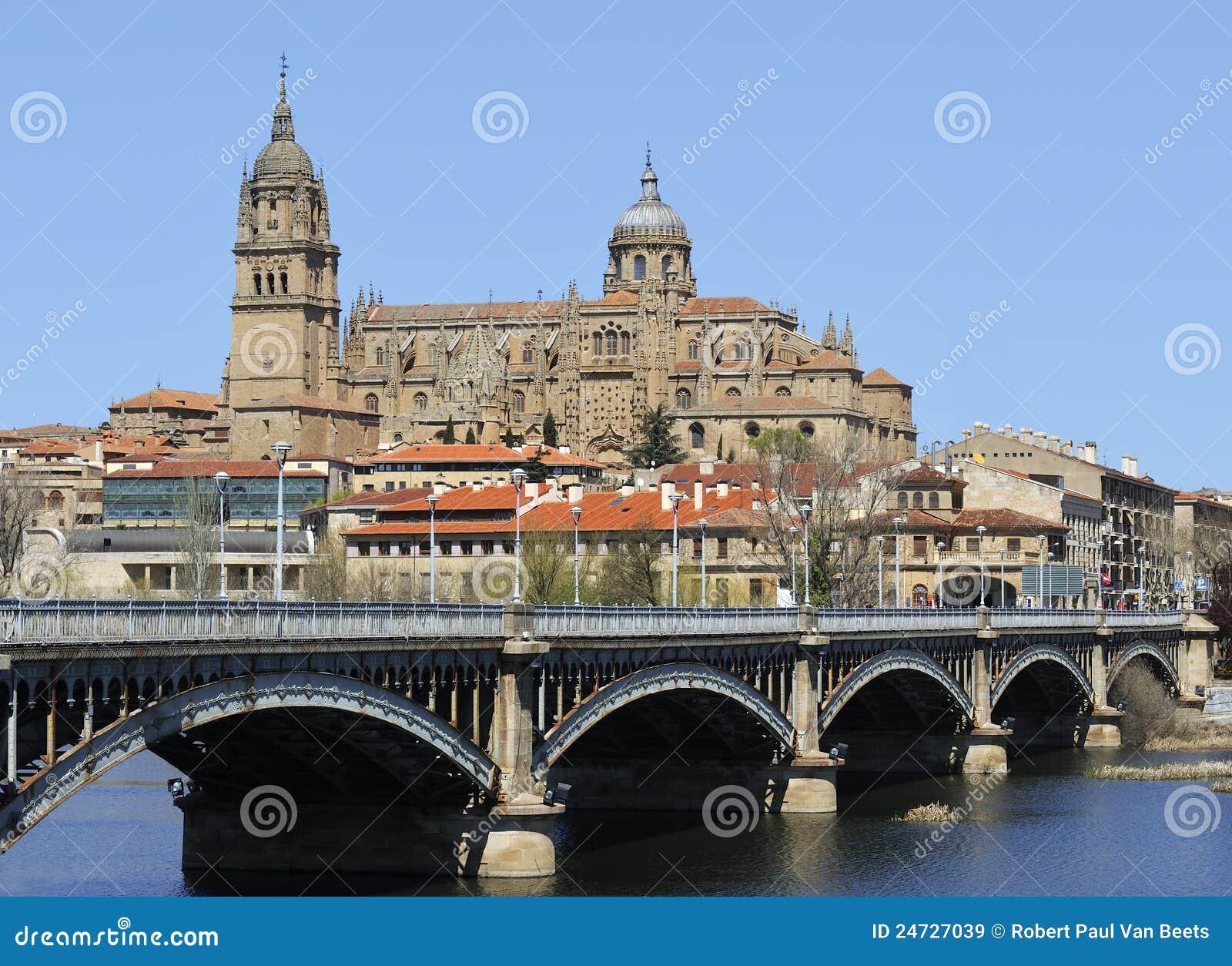 cathedral of salamanca