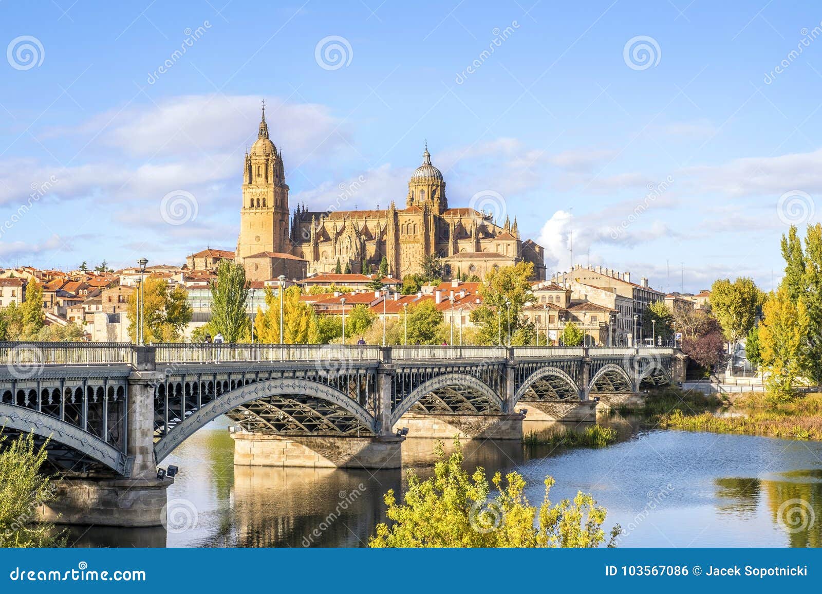 cathedral of salamanca and bridge over tormes river, spain