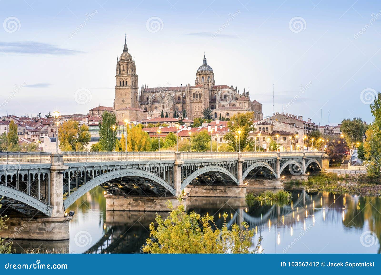 cathedral of salamanca and bridge over tormes river, spain