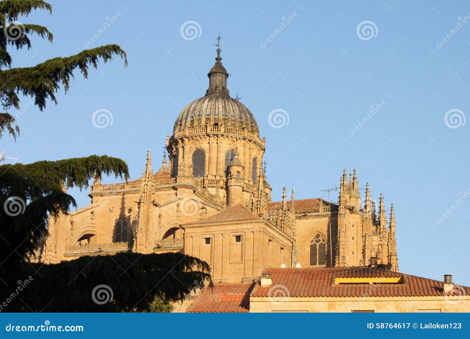 cathedral of salamanca