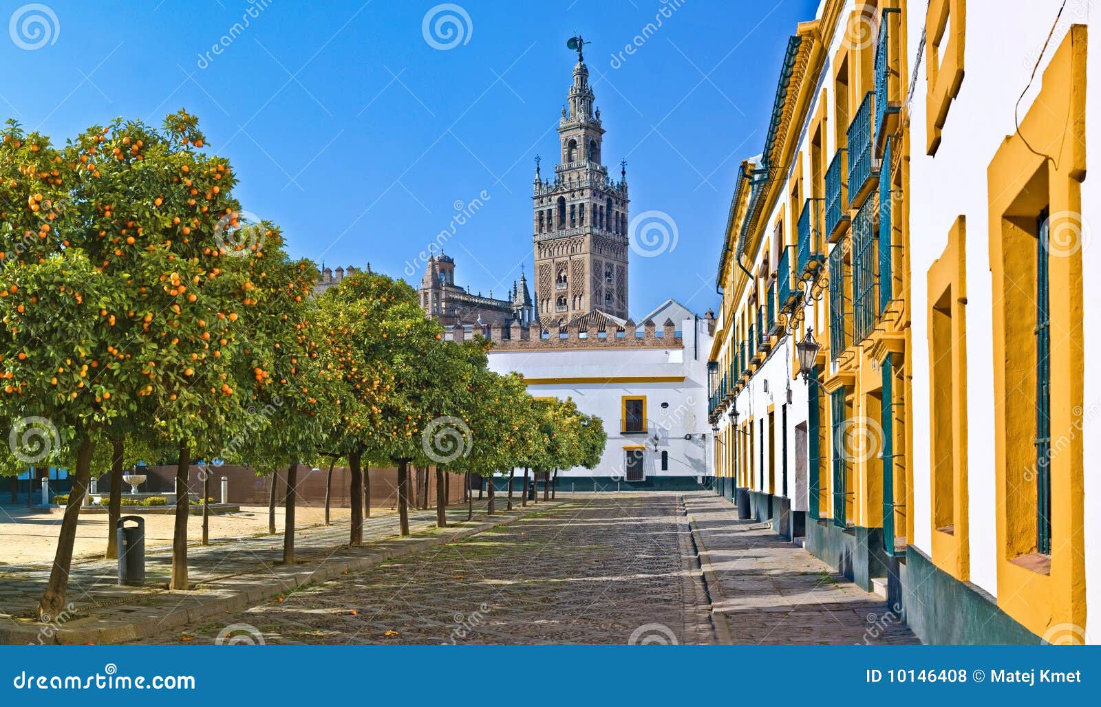 the cathedral of seville
