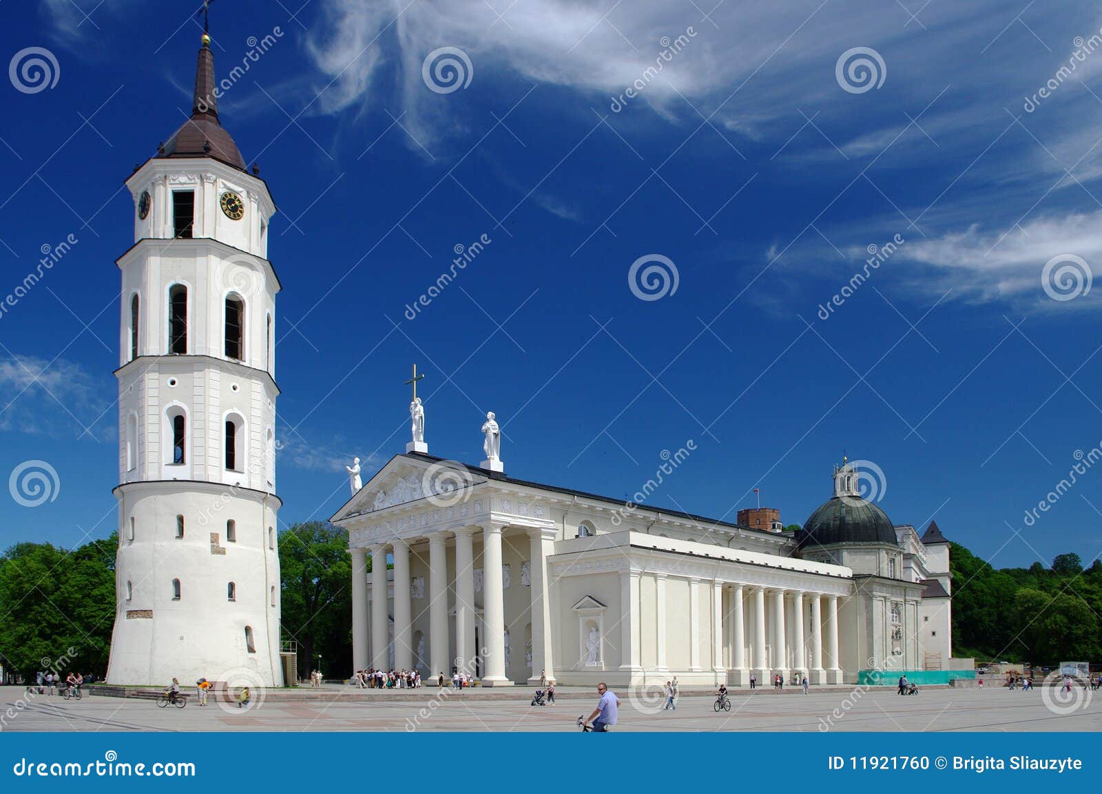 cathedral of vilnius
