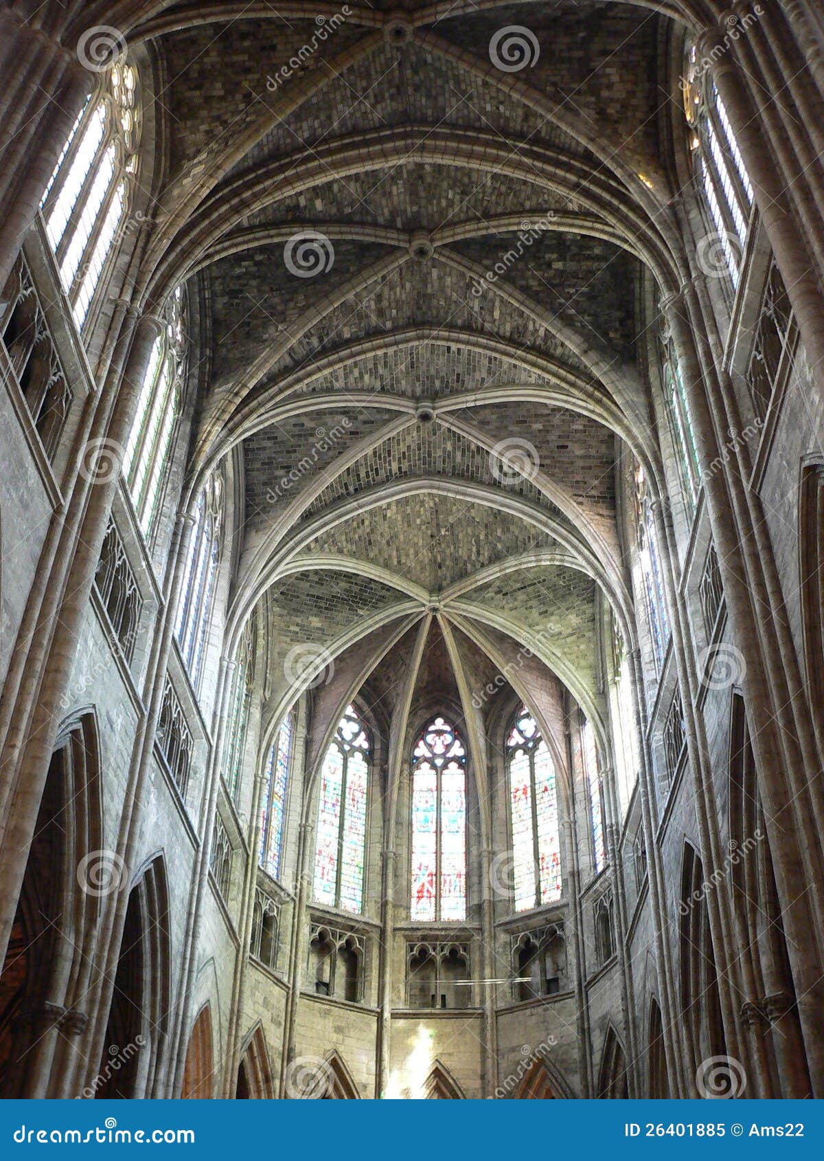 cathedrale saint-andre, bordeaux ( france )