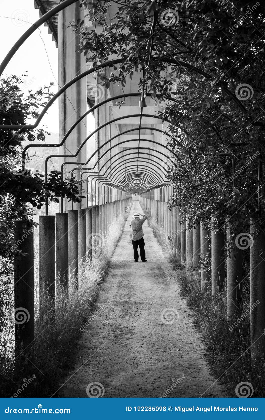 a man takes a picture under a highway viaduct