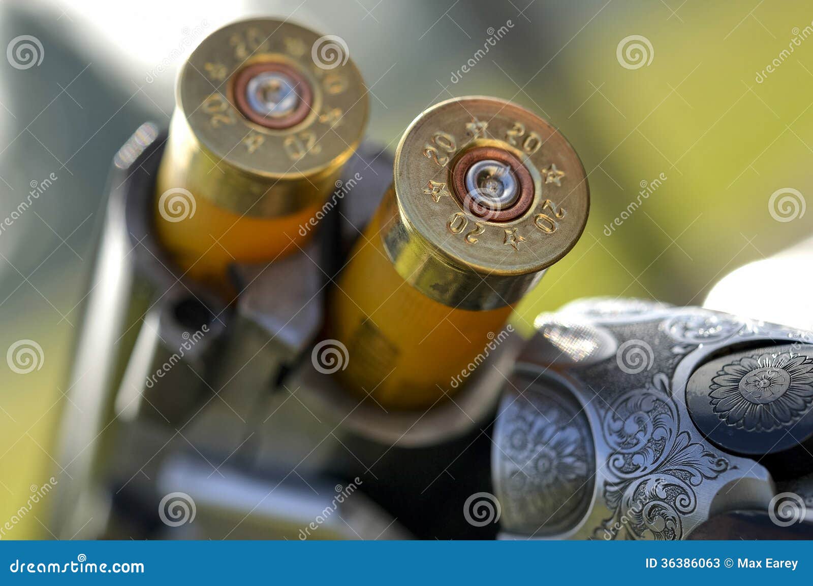 catridges in shotgun barrel