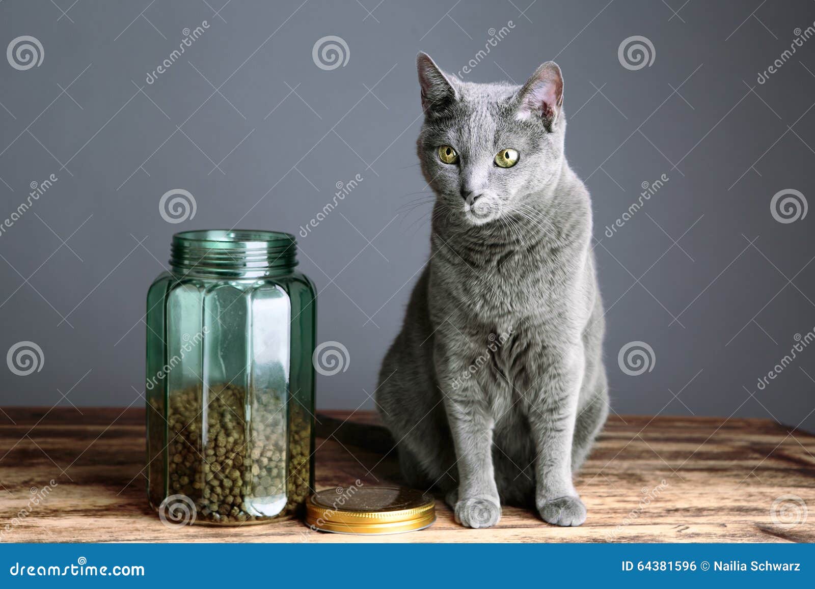 Cats and Cat Food in Glass stock photo. Image of face - 64381596